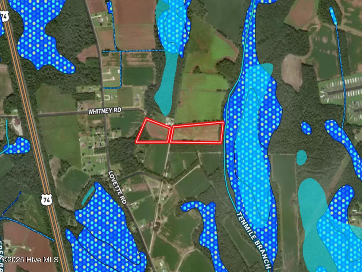 100511936 | Photo 13