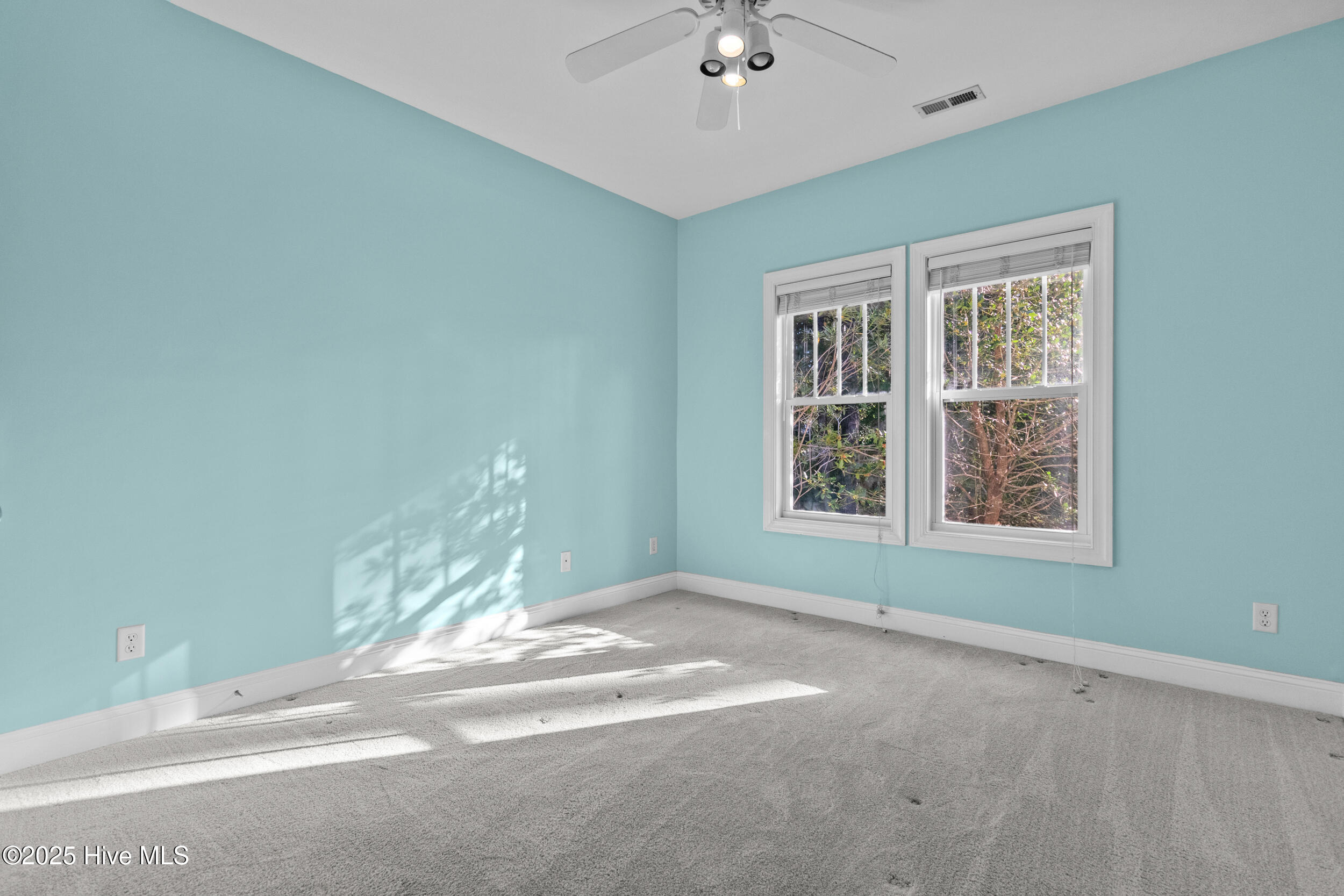 100534384 | Photo 37