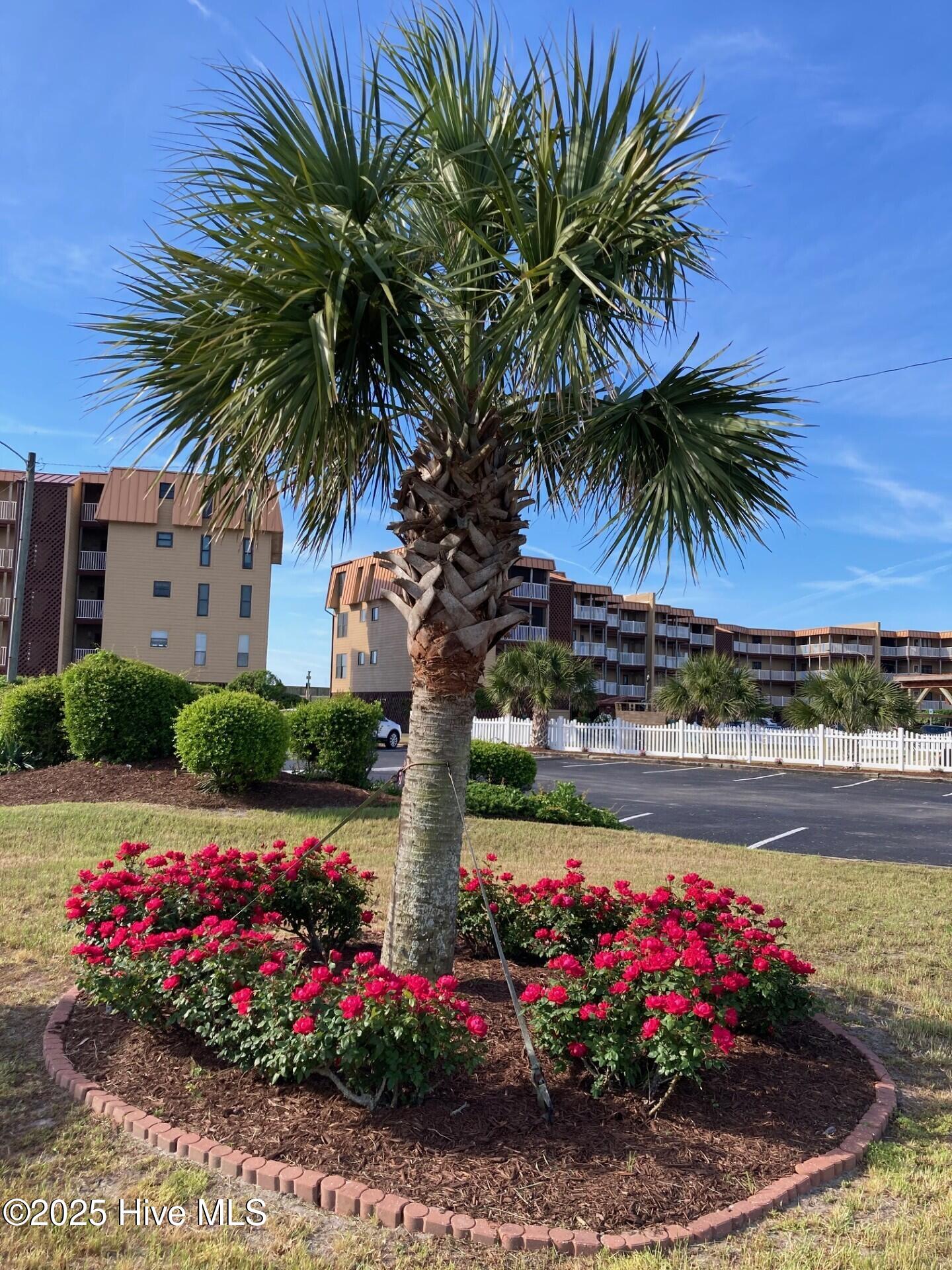 100521876 | Photo 18