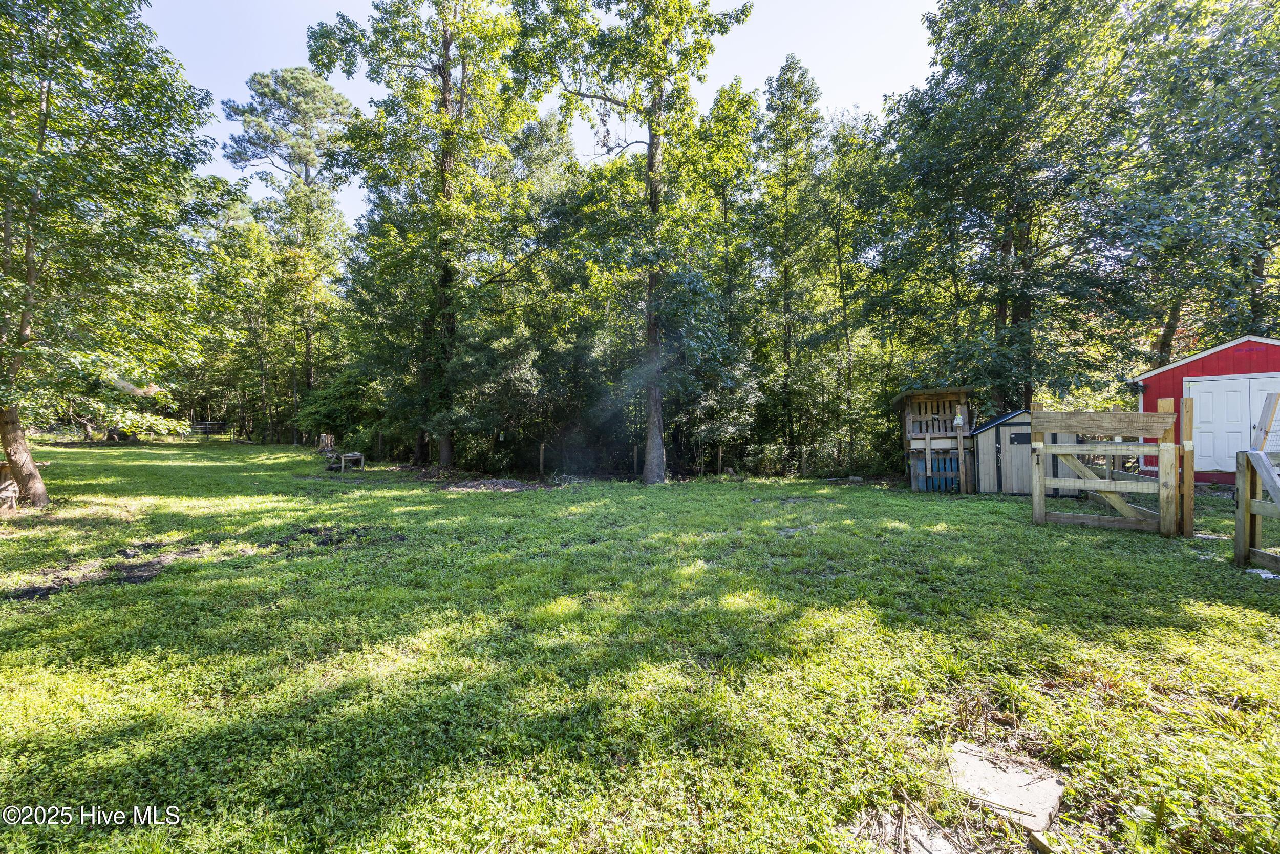 100528146 | Photo 47