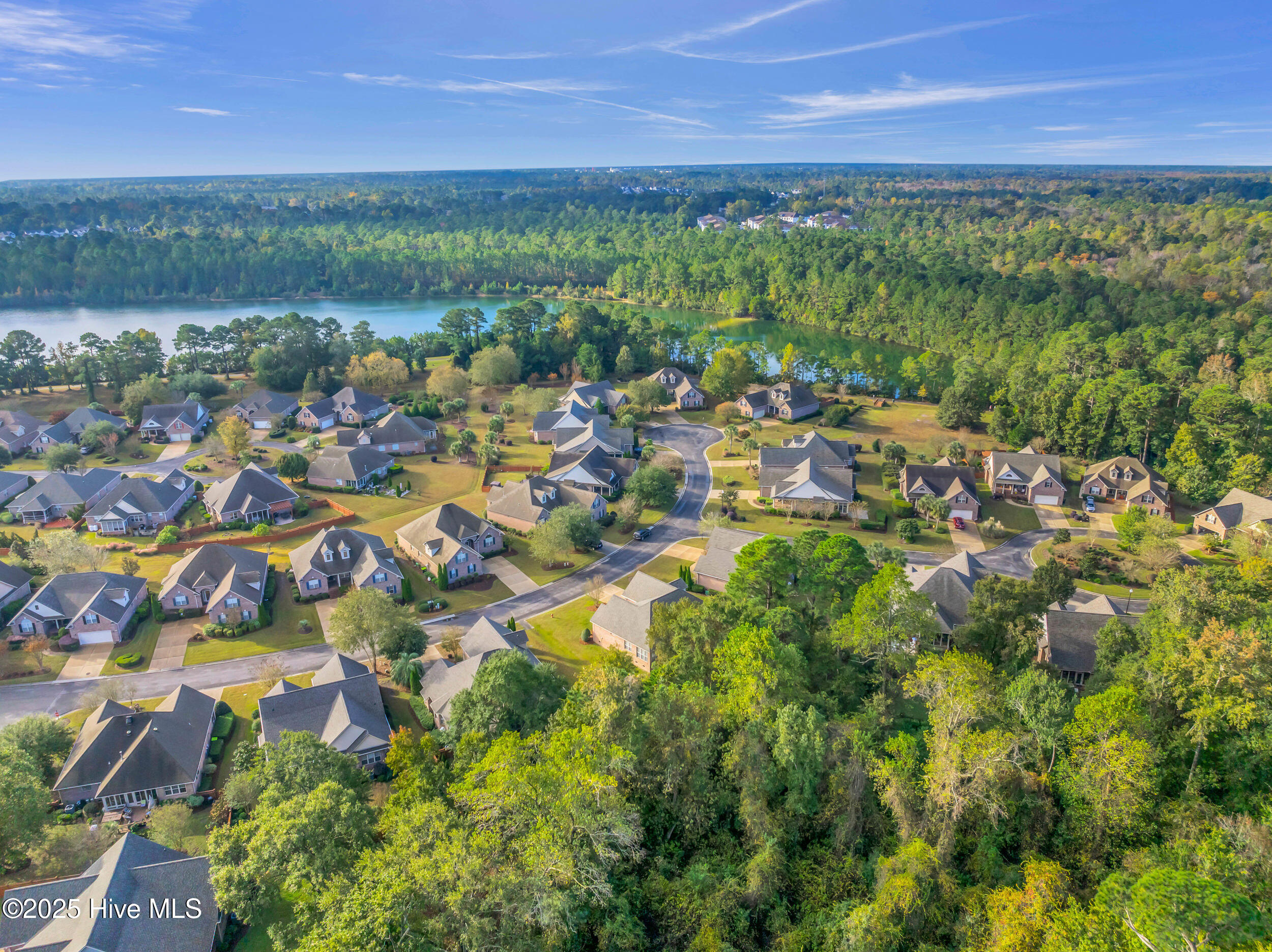 100539518 | Photo 52