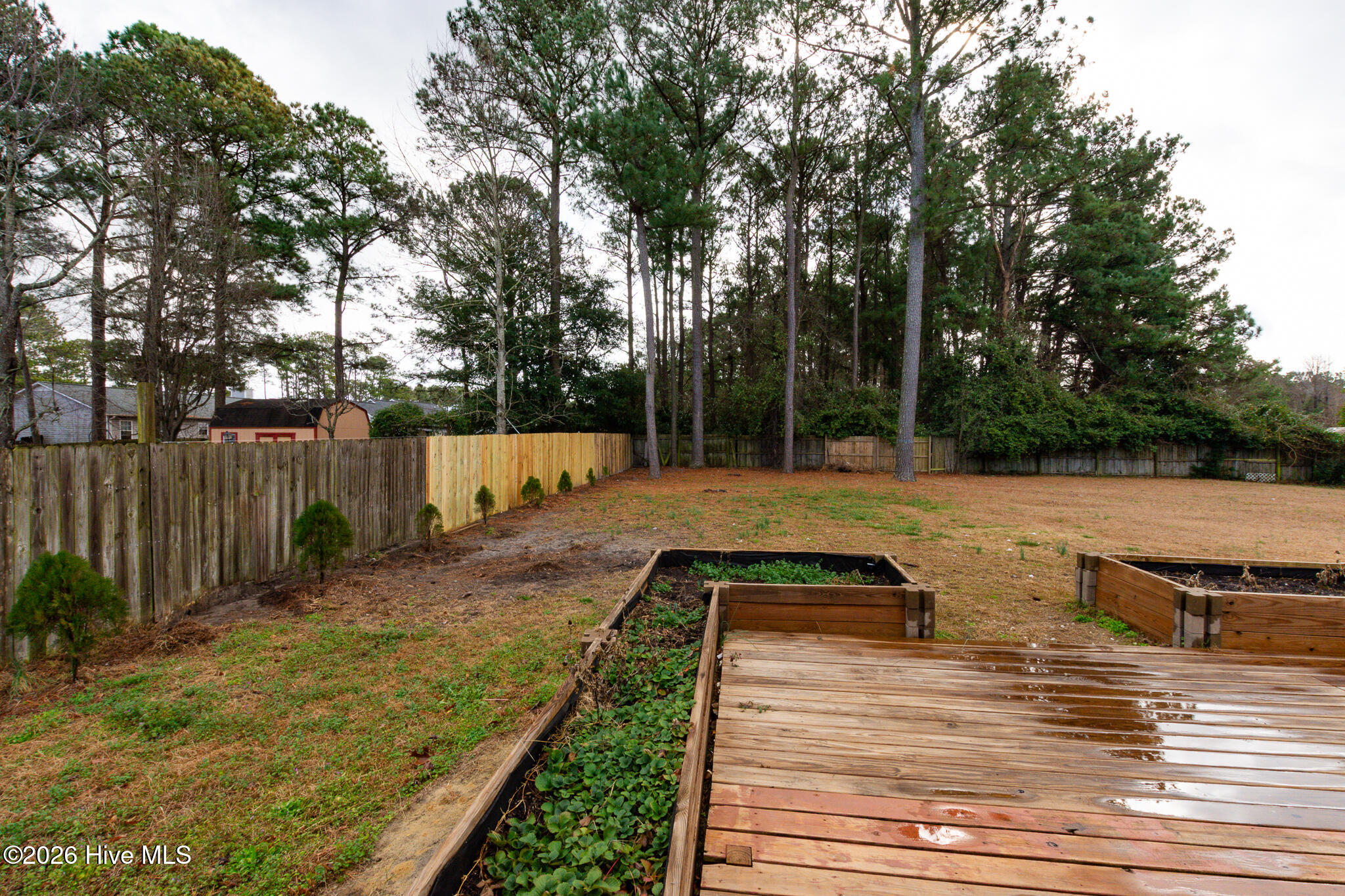 100550624 | Photo 40