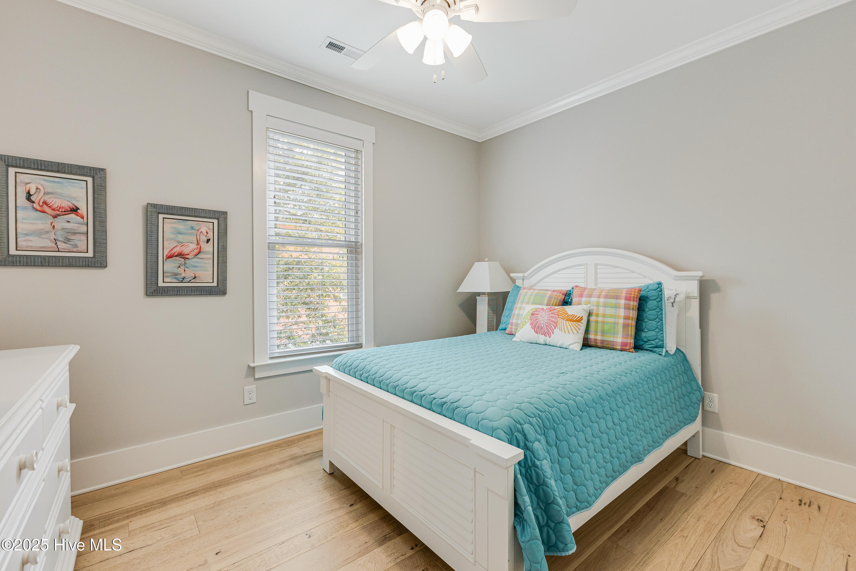 100500117 | Photo 13