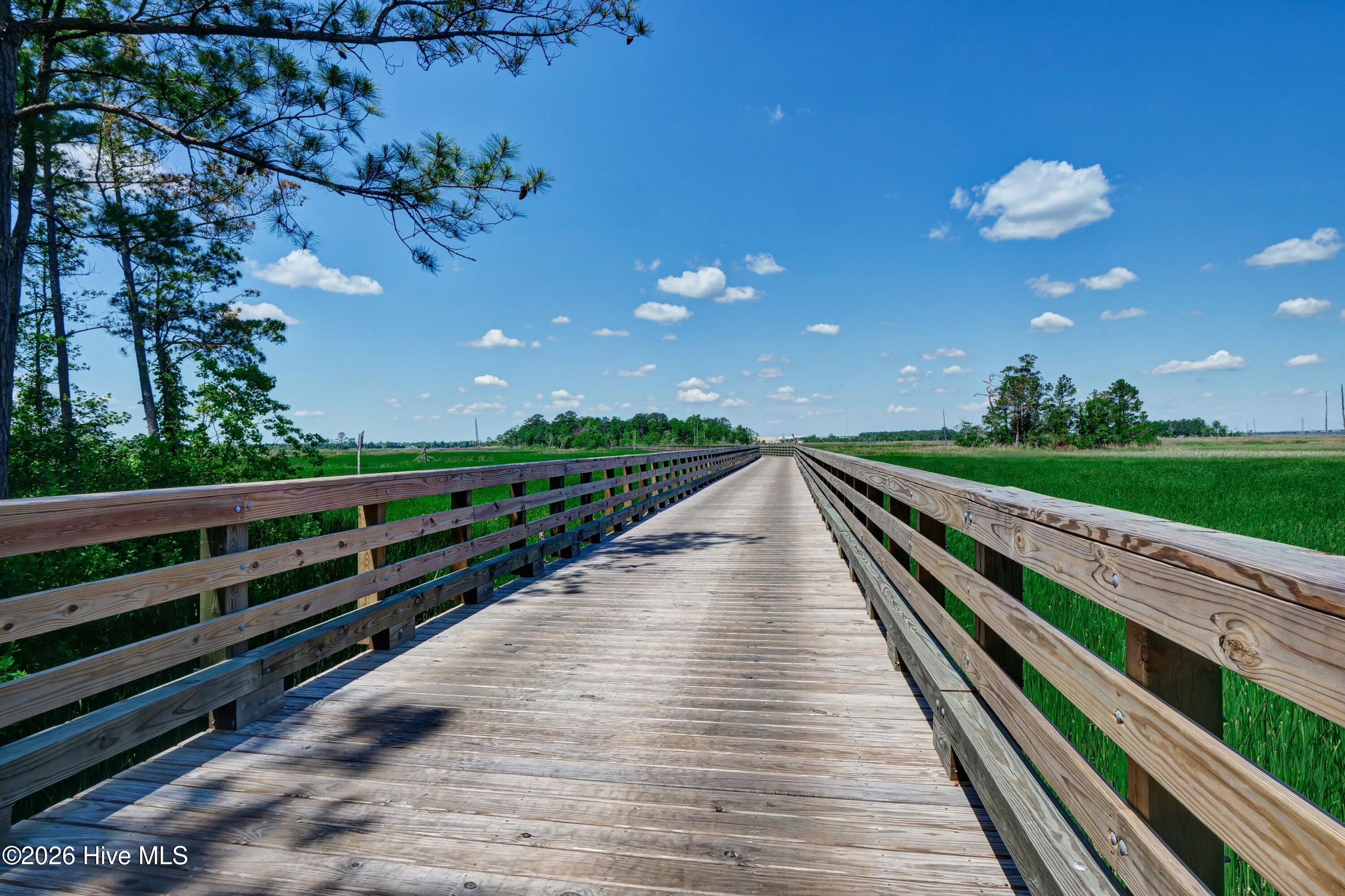 100565656 | Photo 71