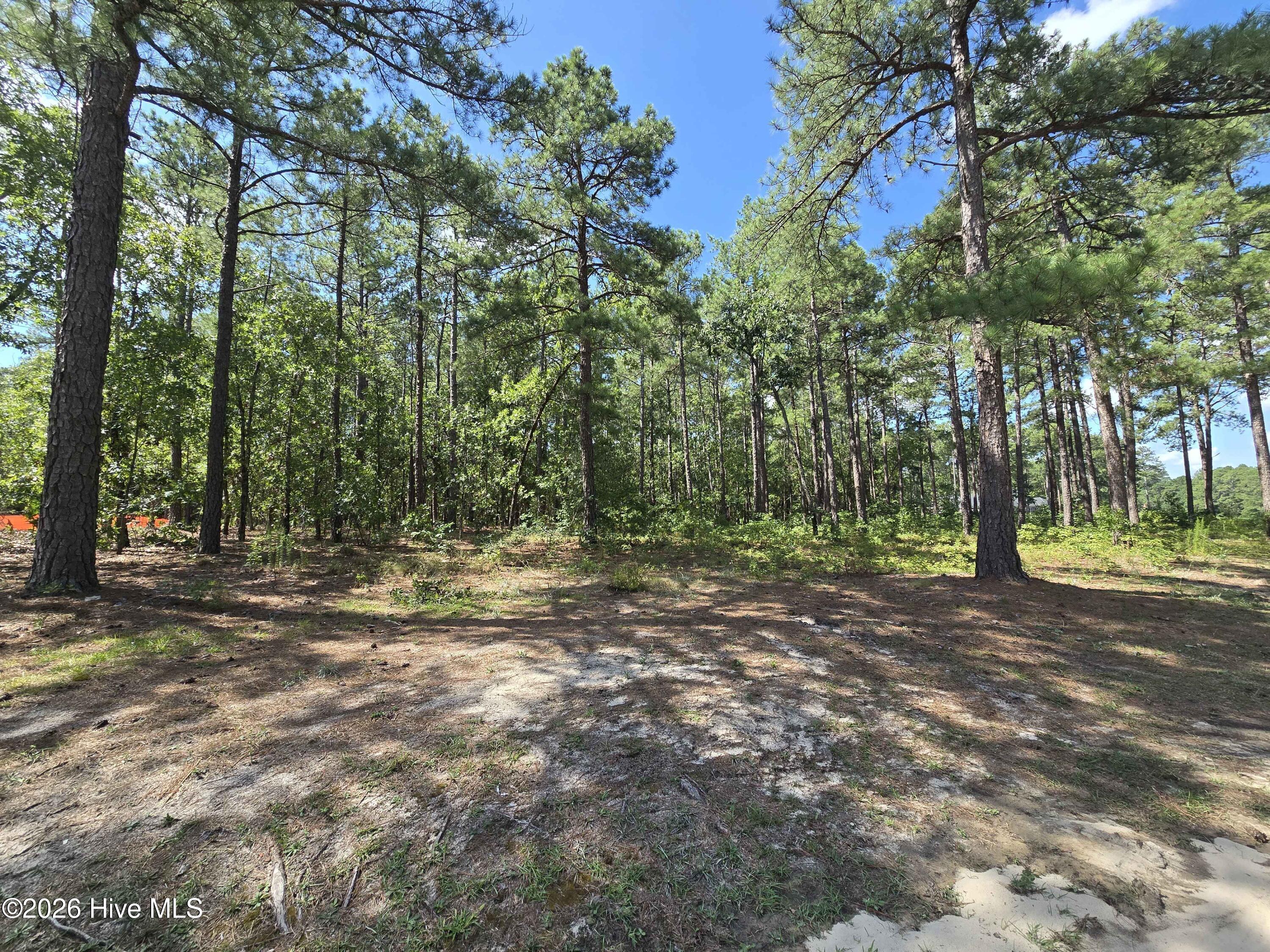 Exterior photo of Tbd Peach Orchard Road, Wagram, NC 28396. MLS: 100589435
