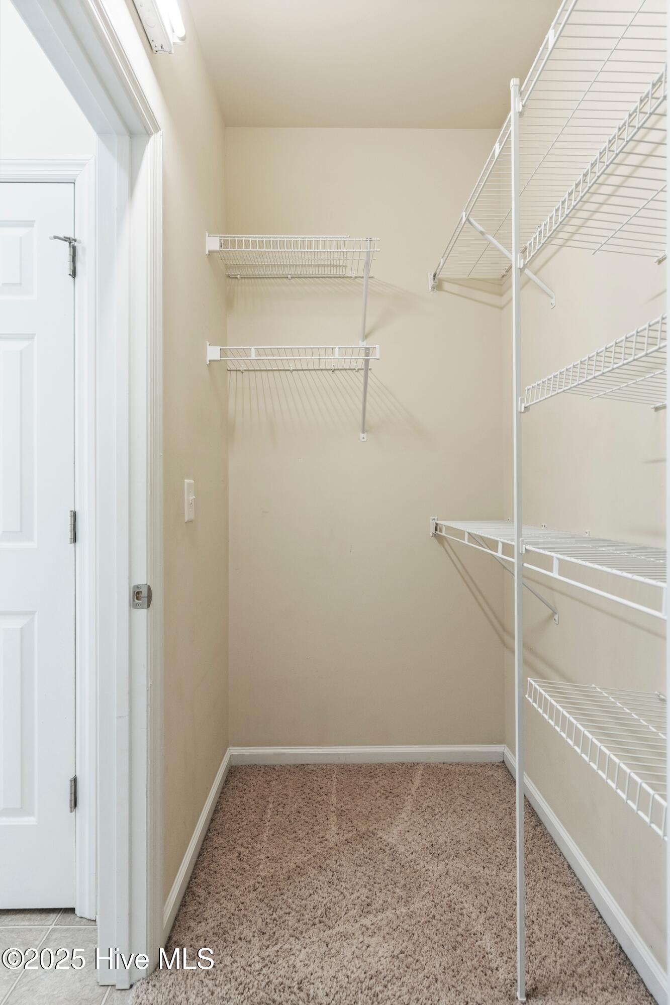 100525972 | Photo 29