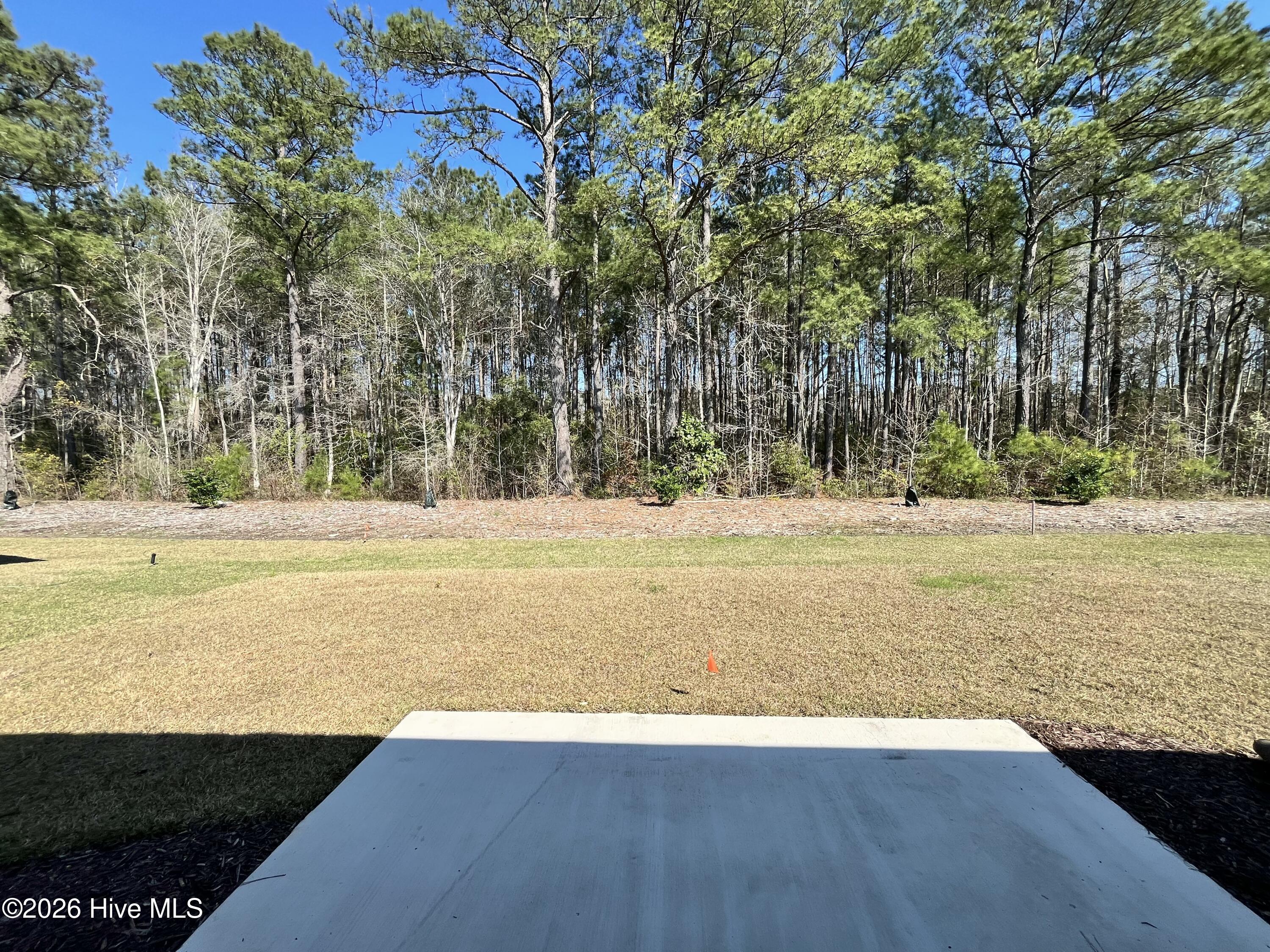 100557776 | Photo 16