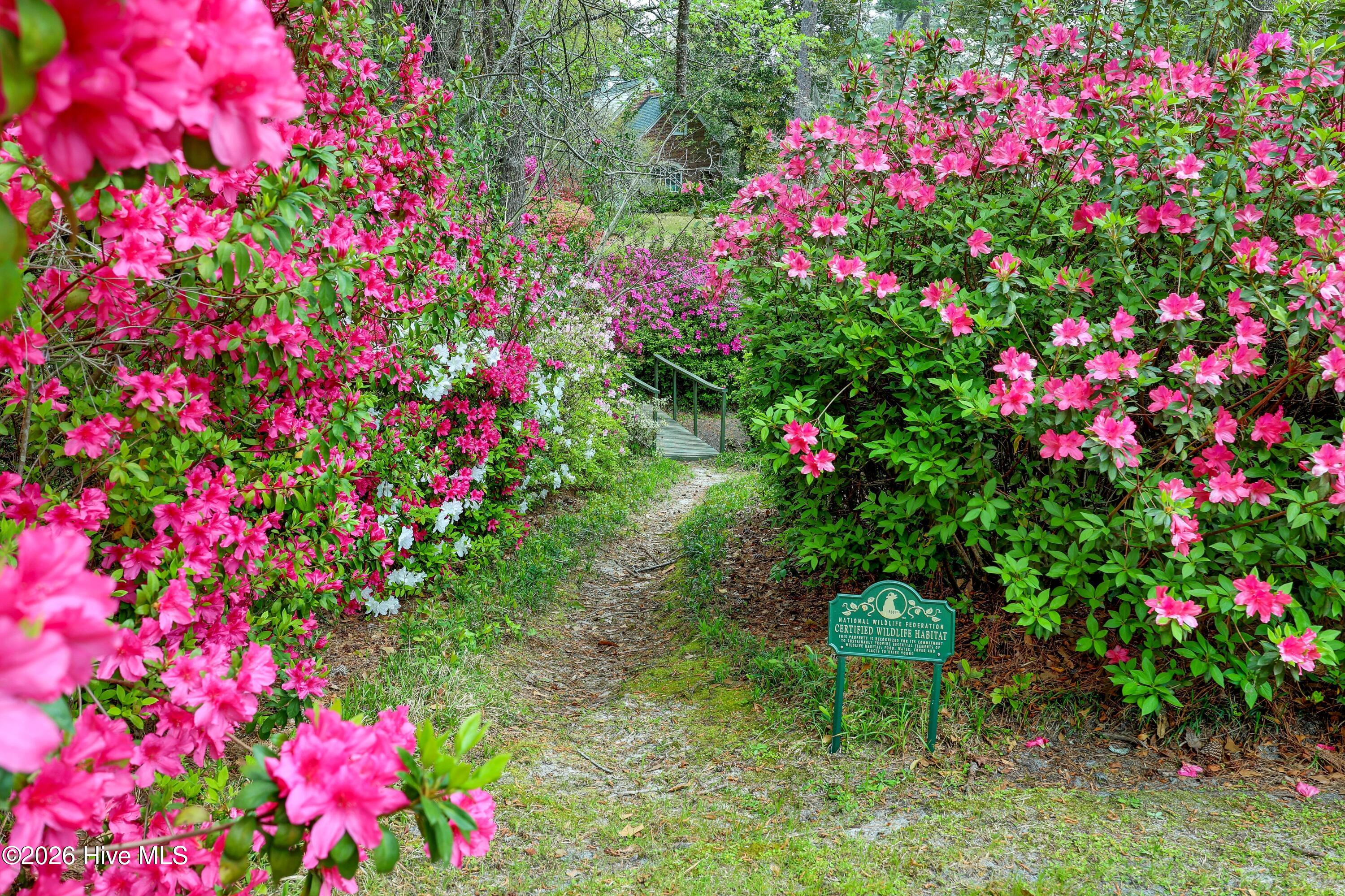 708 Forest Hills Drive, Wilmington, NC, 28403