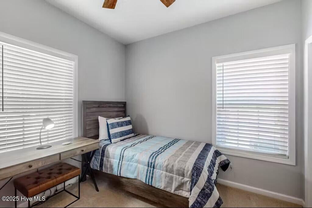 100528261 | Photo 14