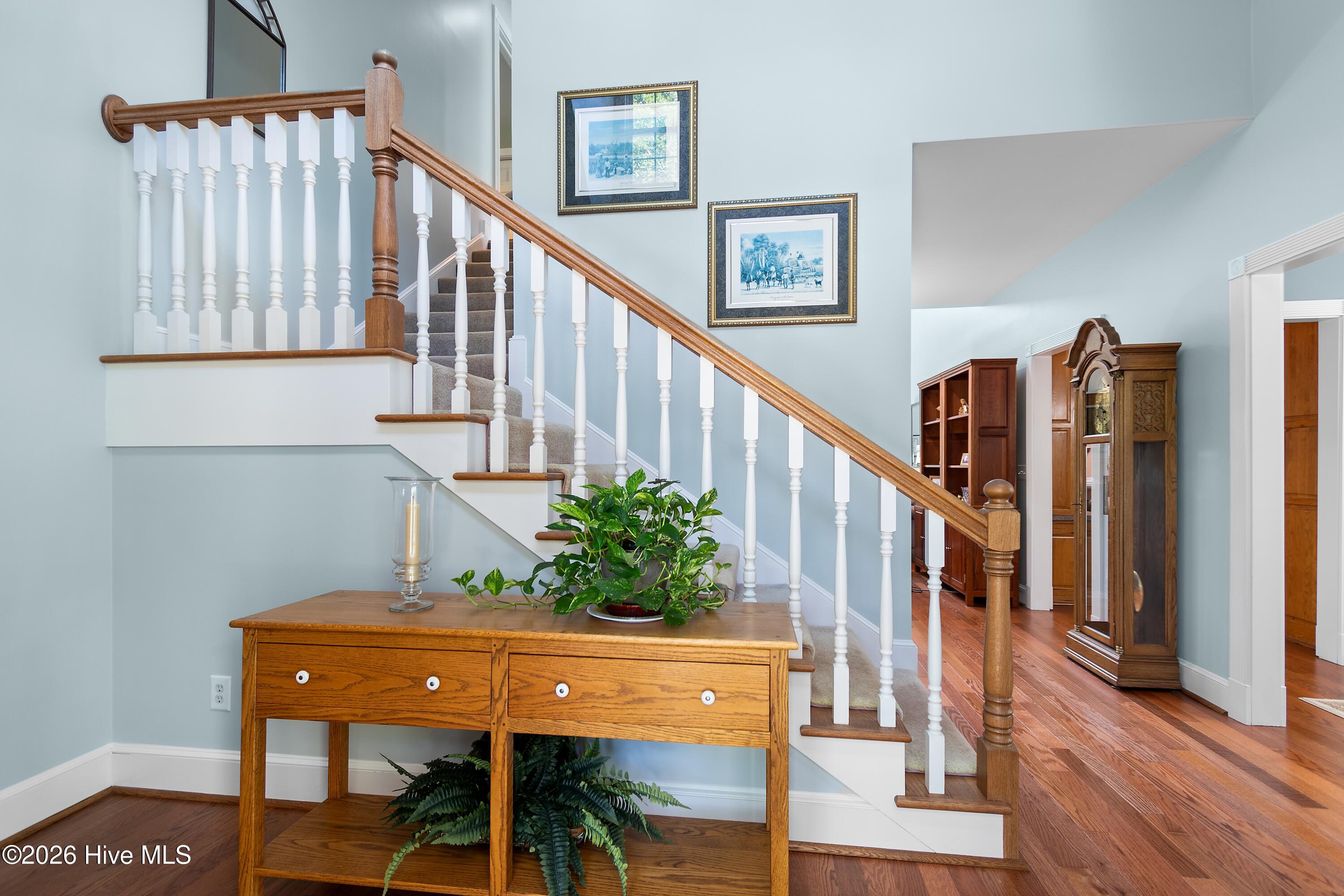 100582497 | Photo 26