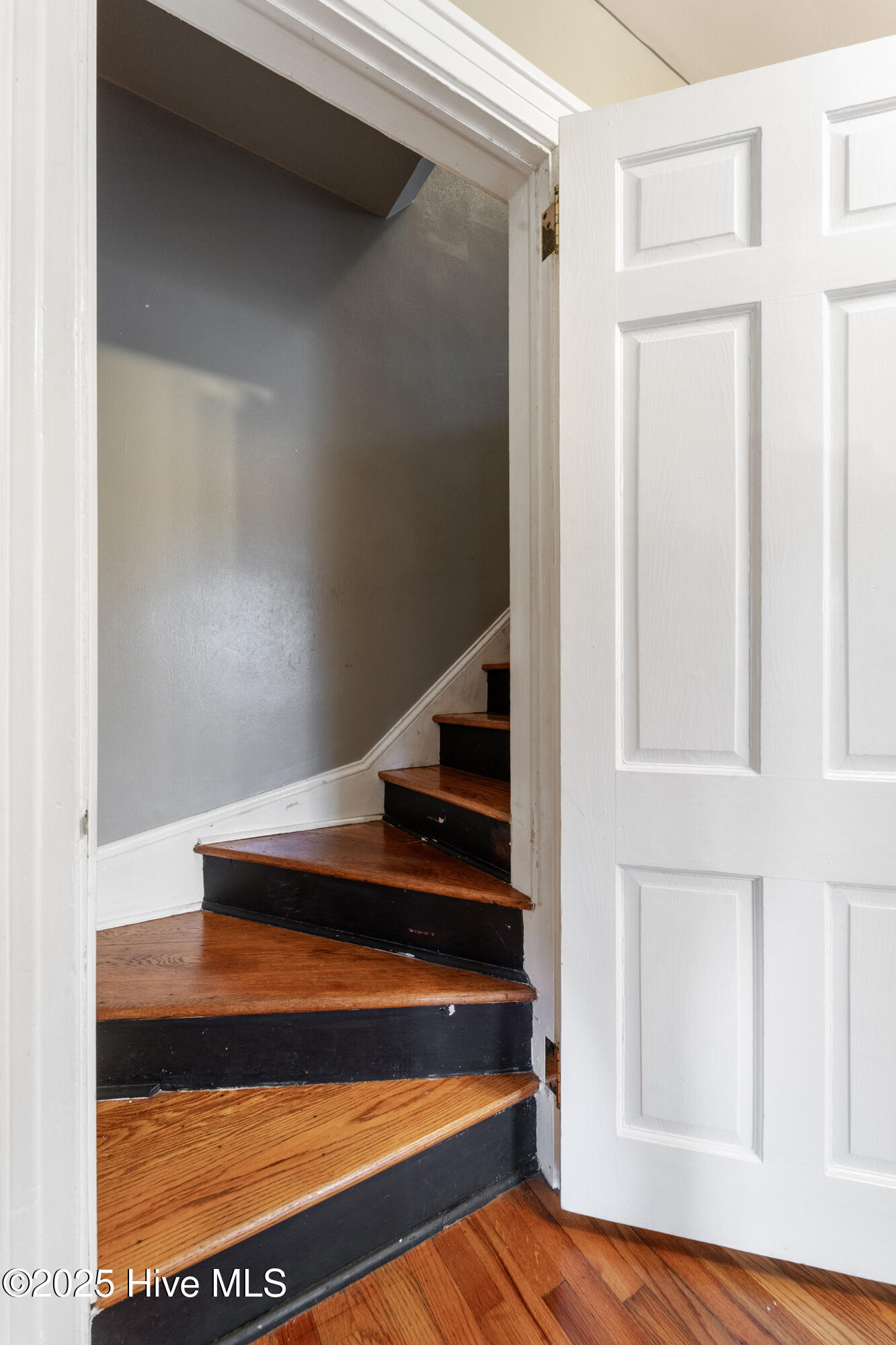 100544156 | Photo 43