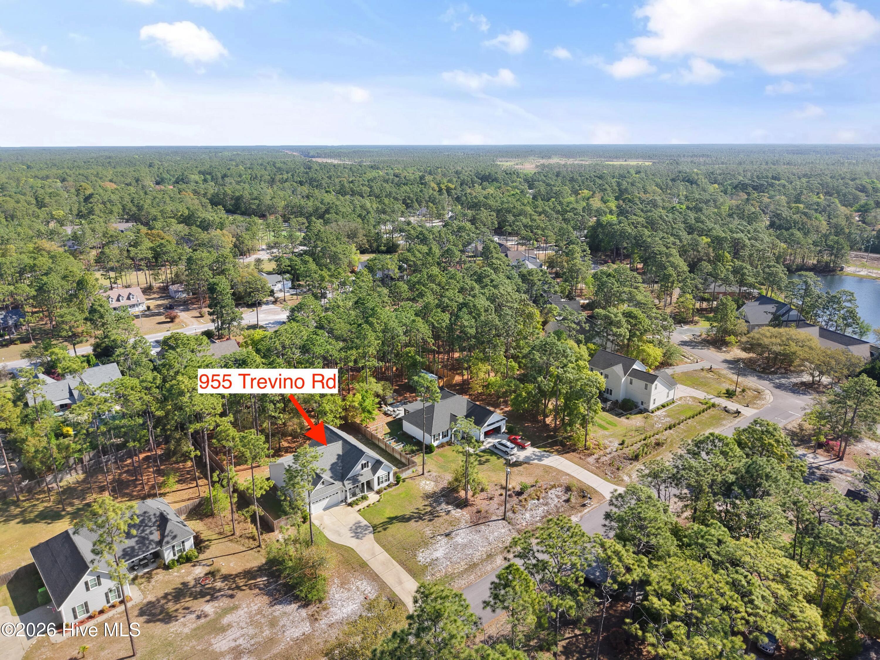 100568051 | Photo 47