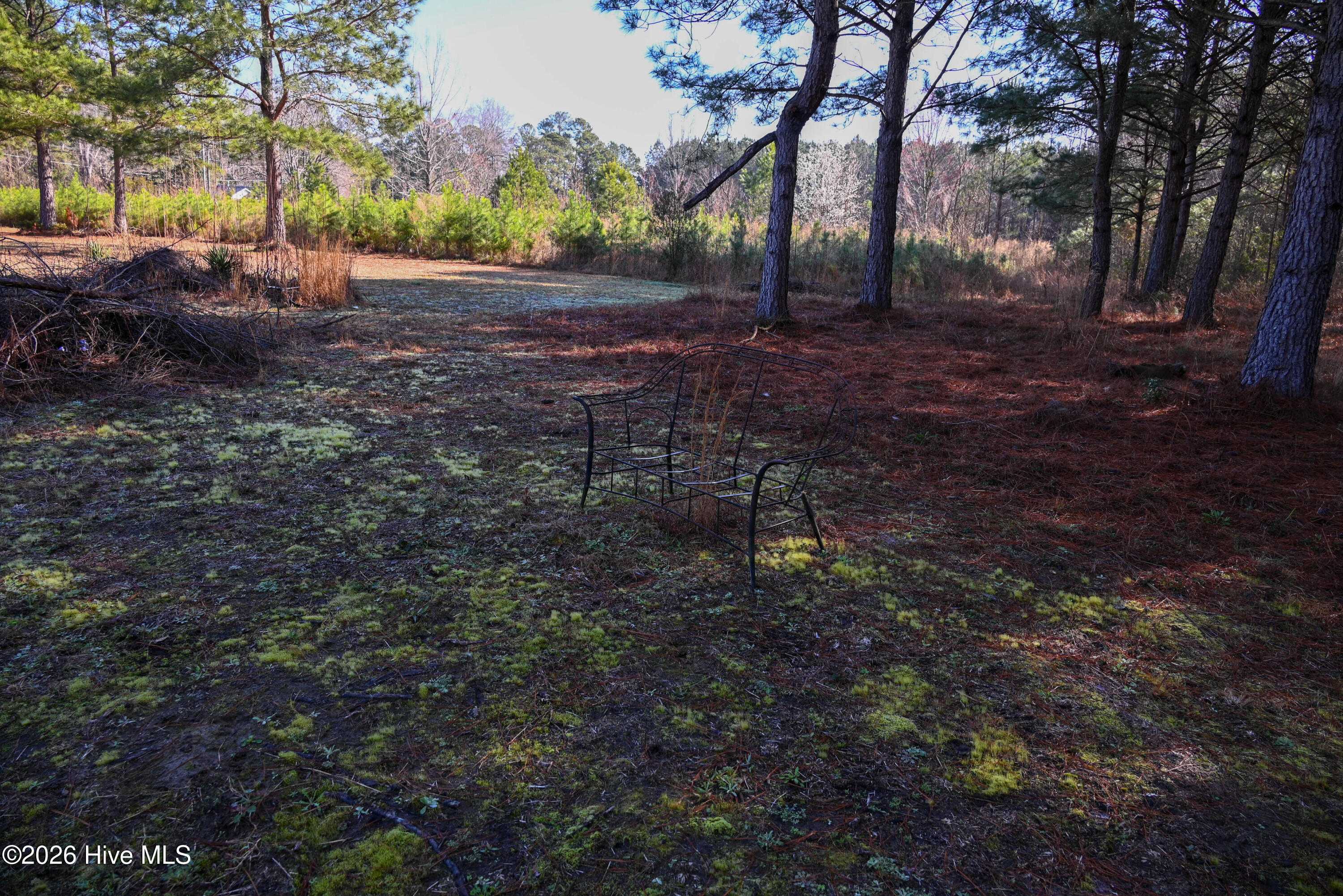 100560038 | Photo 16