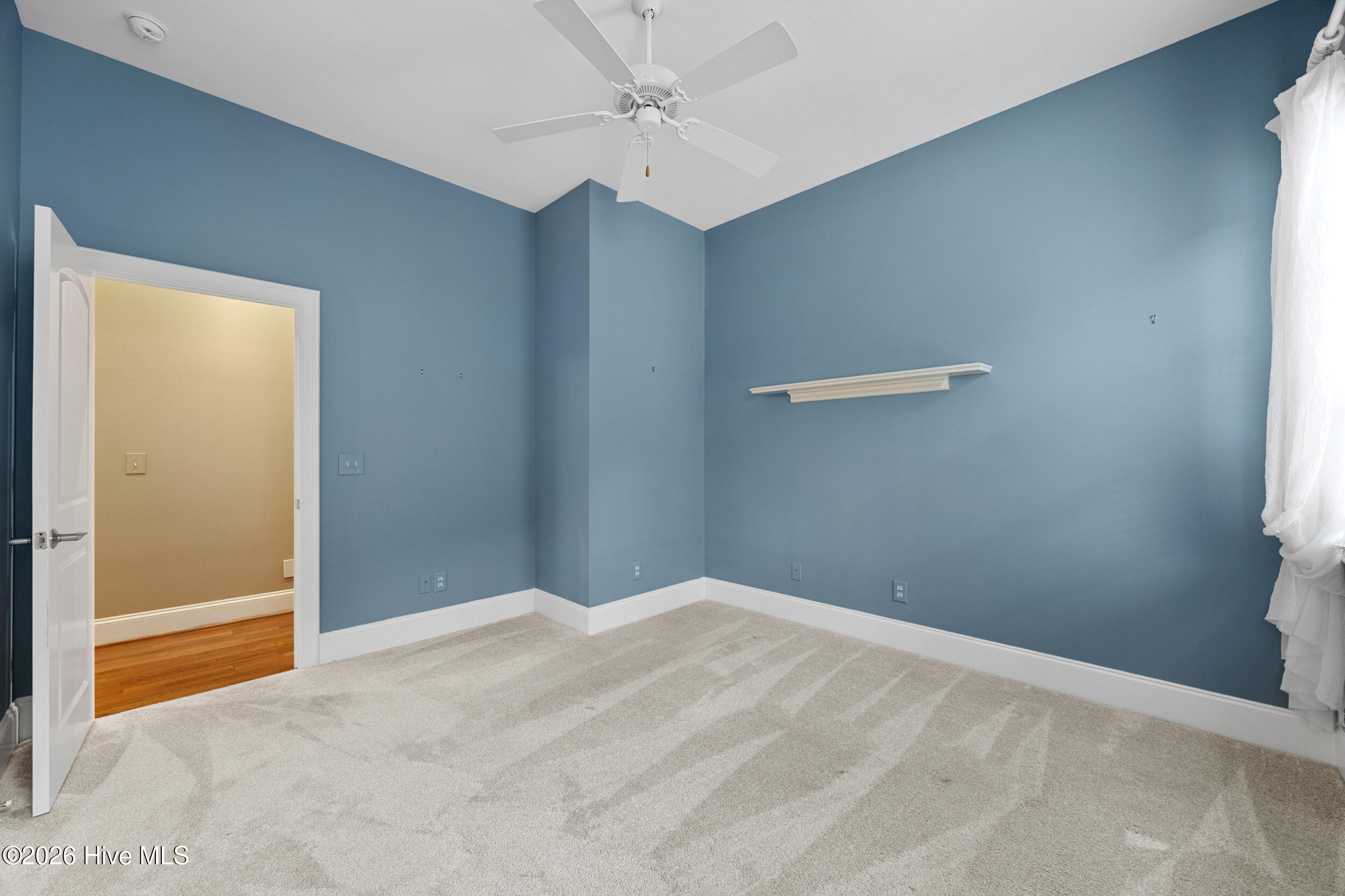 100547162 | Photo 39