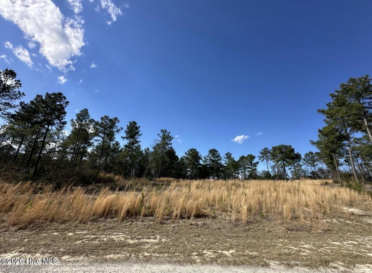 Homes for sale in Cameron, NC | 565 Susie Cir, Cameron, NC 28326 | MLS# 100552763