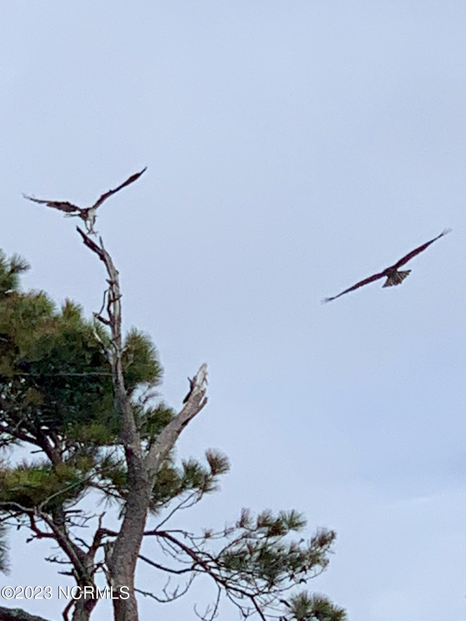 100387991 | Photo 26