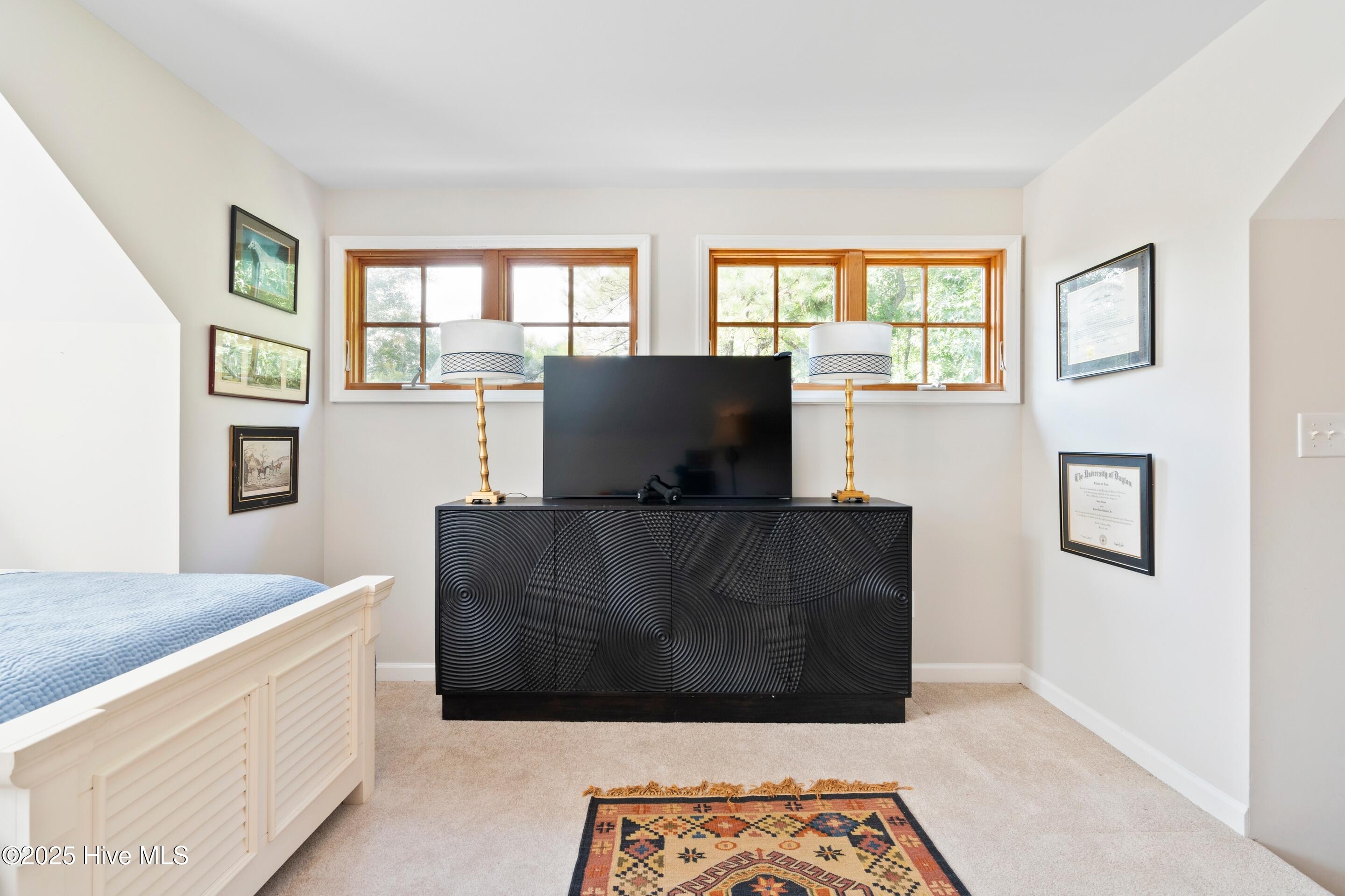 100520389 | Photo 63