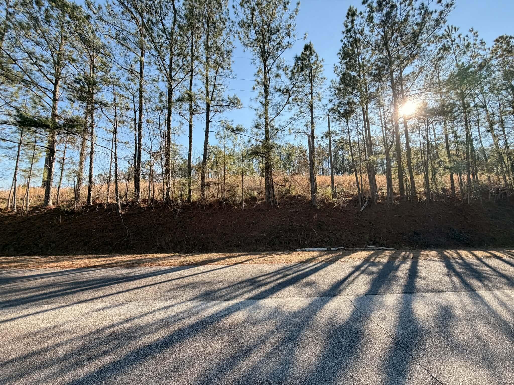 0 Red Fox Drive, Clarks Hill, SC, 29821