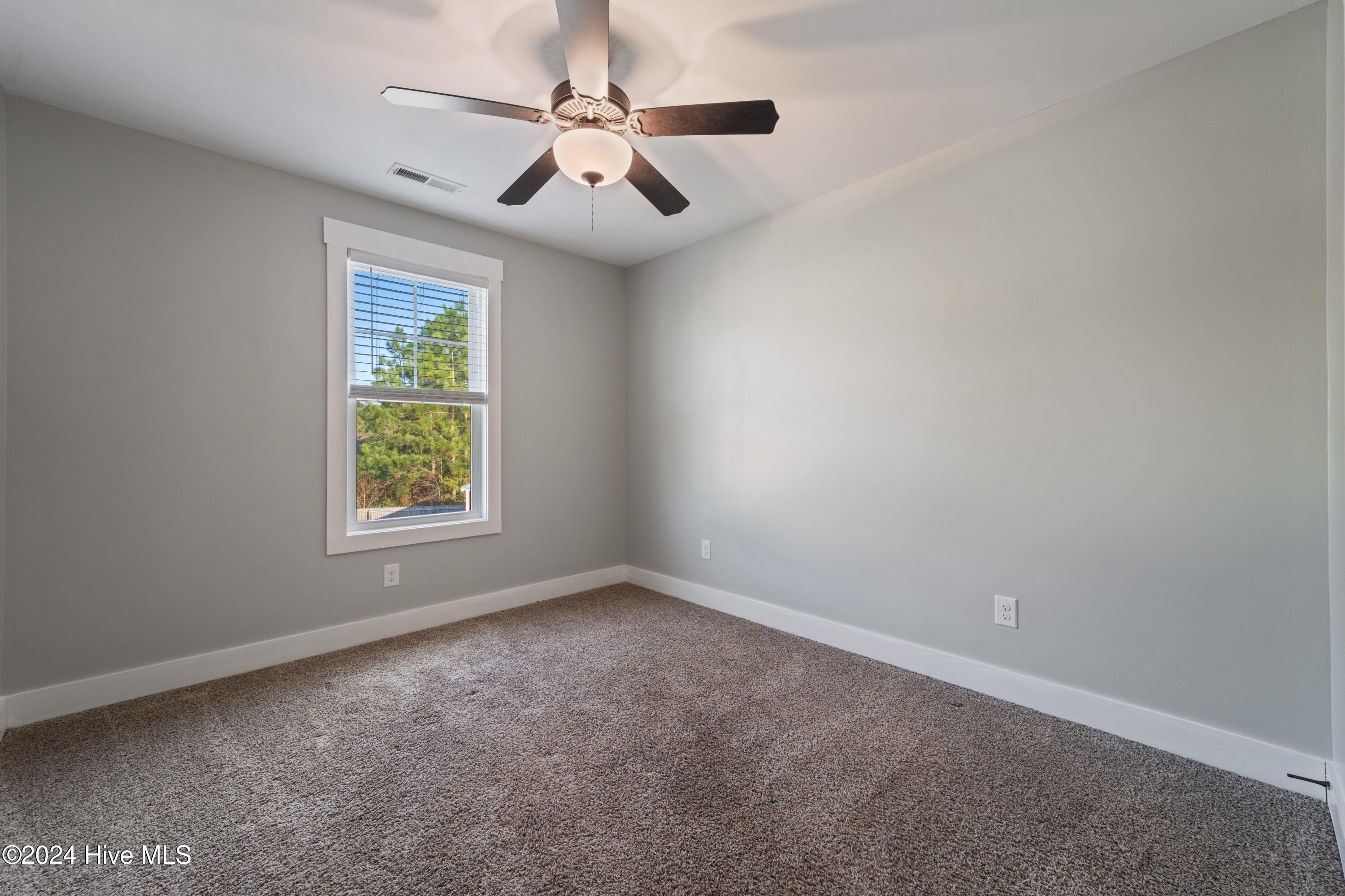 100548081 | Photo 13