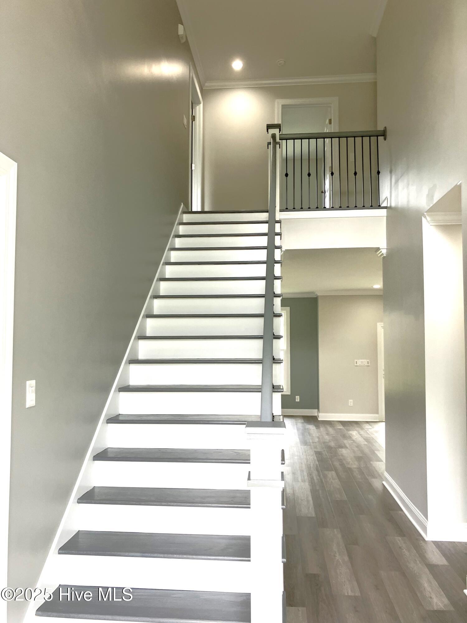 100514031 | Photo 19