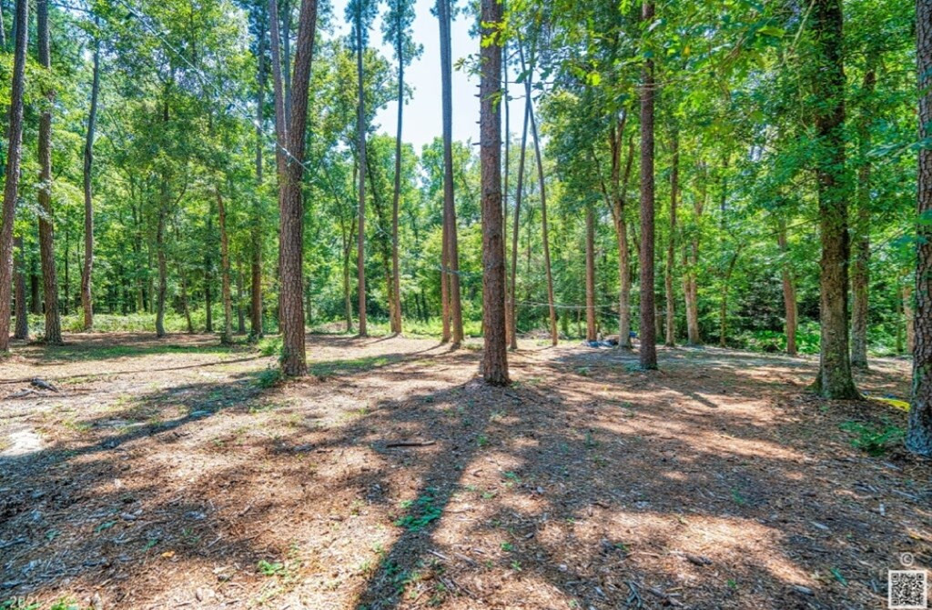 1074 Bennock Mill Road, Augusta, GA 30906 Listing Photo  41