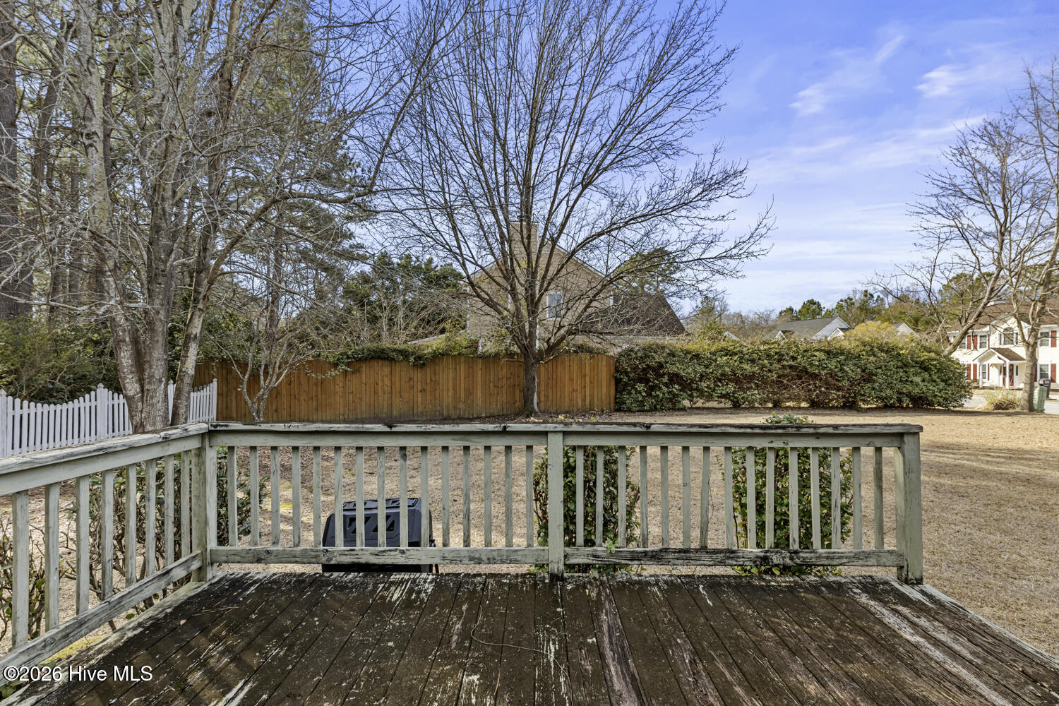 100554638 | Photo 33