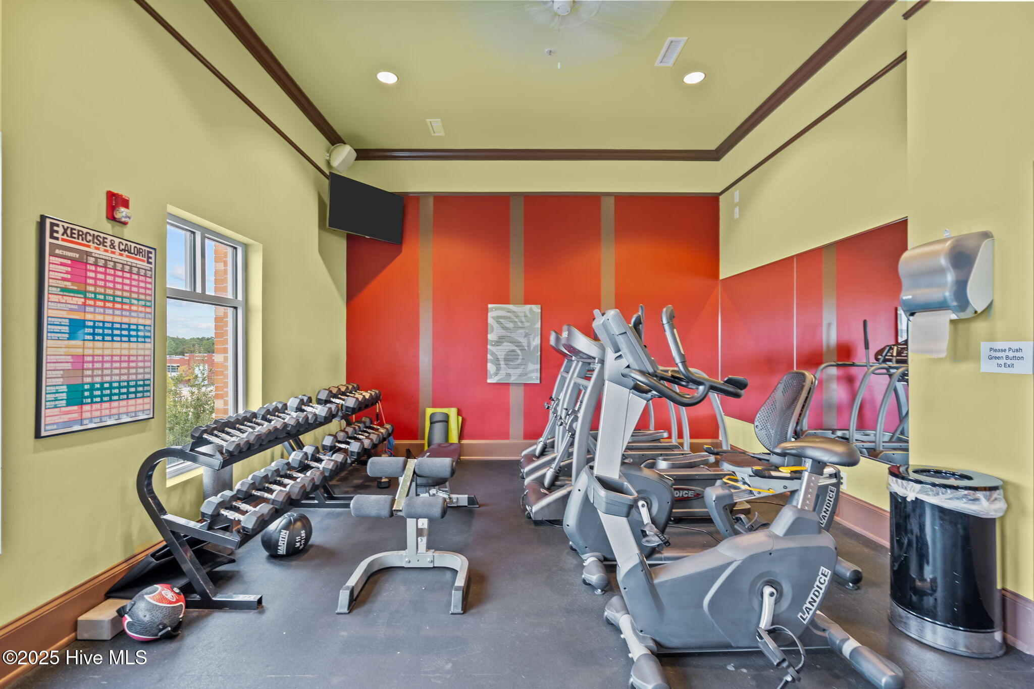 100525076 | Photo 48