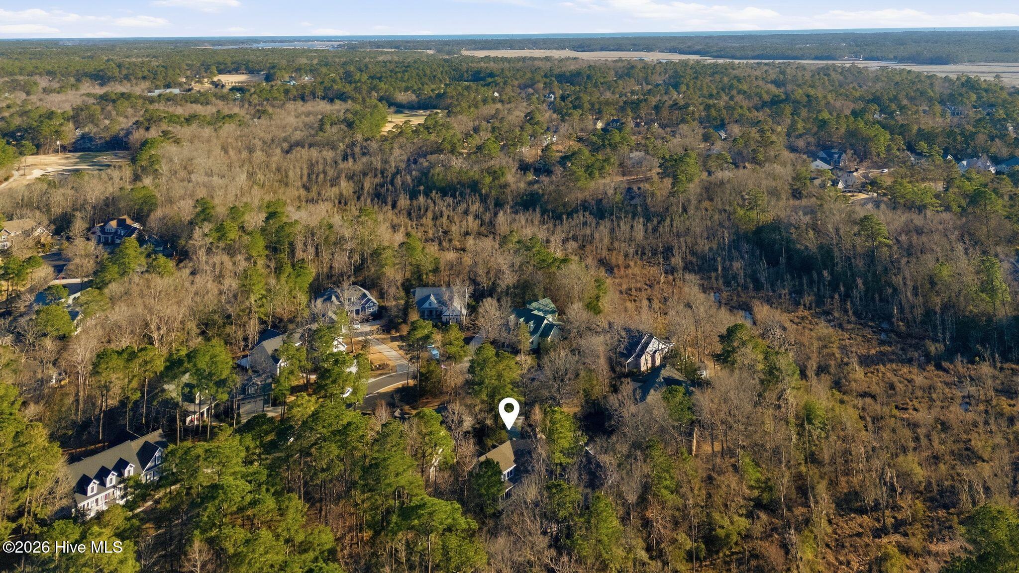 100555834 | Photo 80