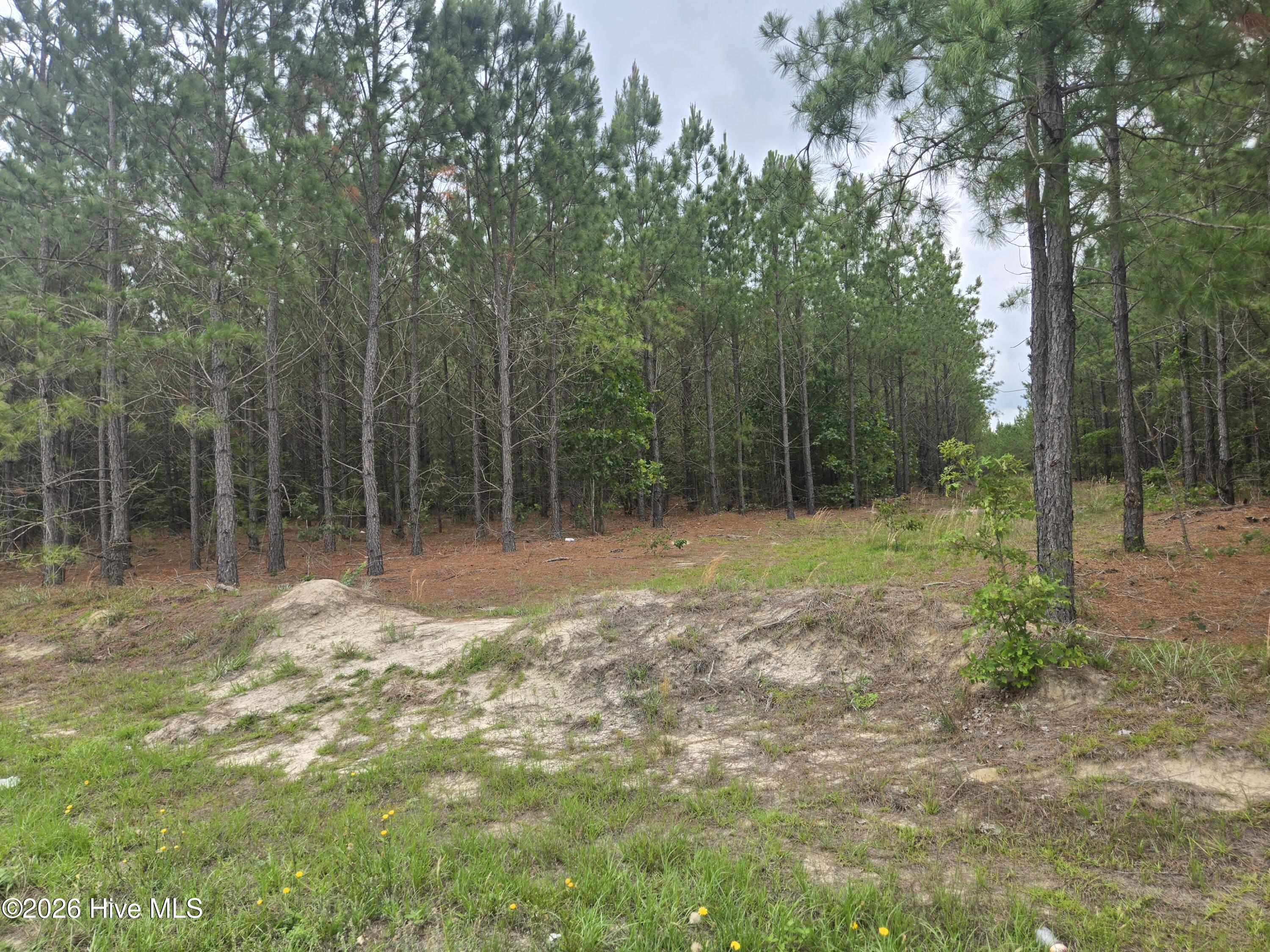 Tract 14 Belford Church Road, Jackson Springs, NC 27281 Listing Photo  1