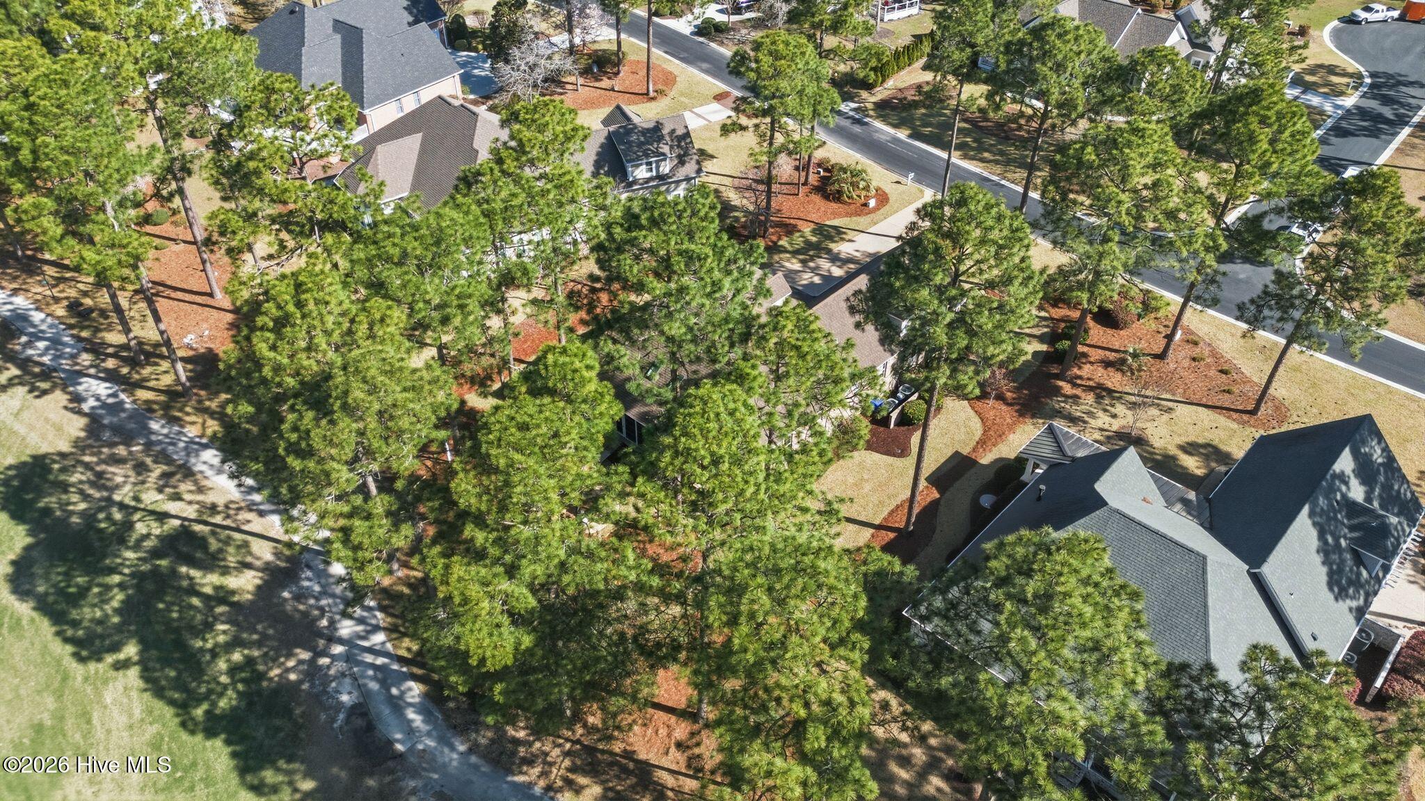 100564432 | Photo 55