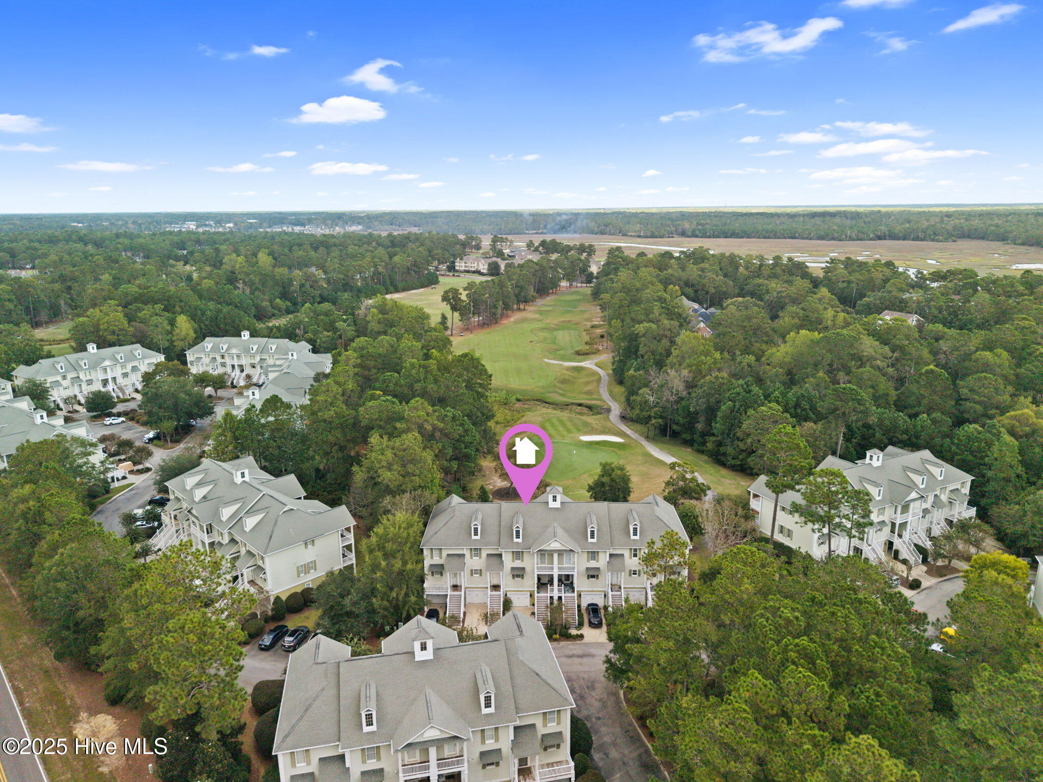 100534473 | Photo 39