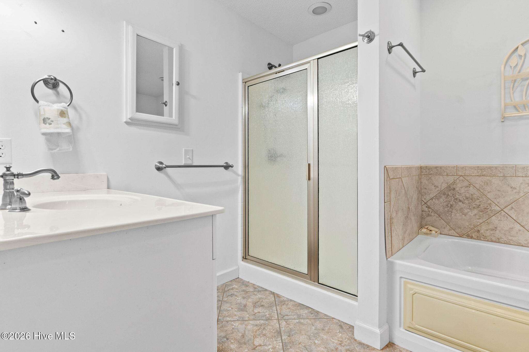 100566520 | Photo 19