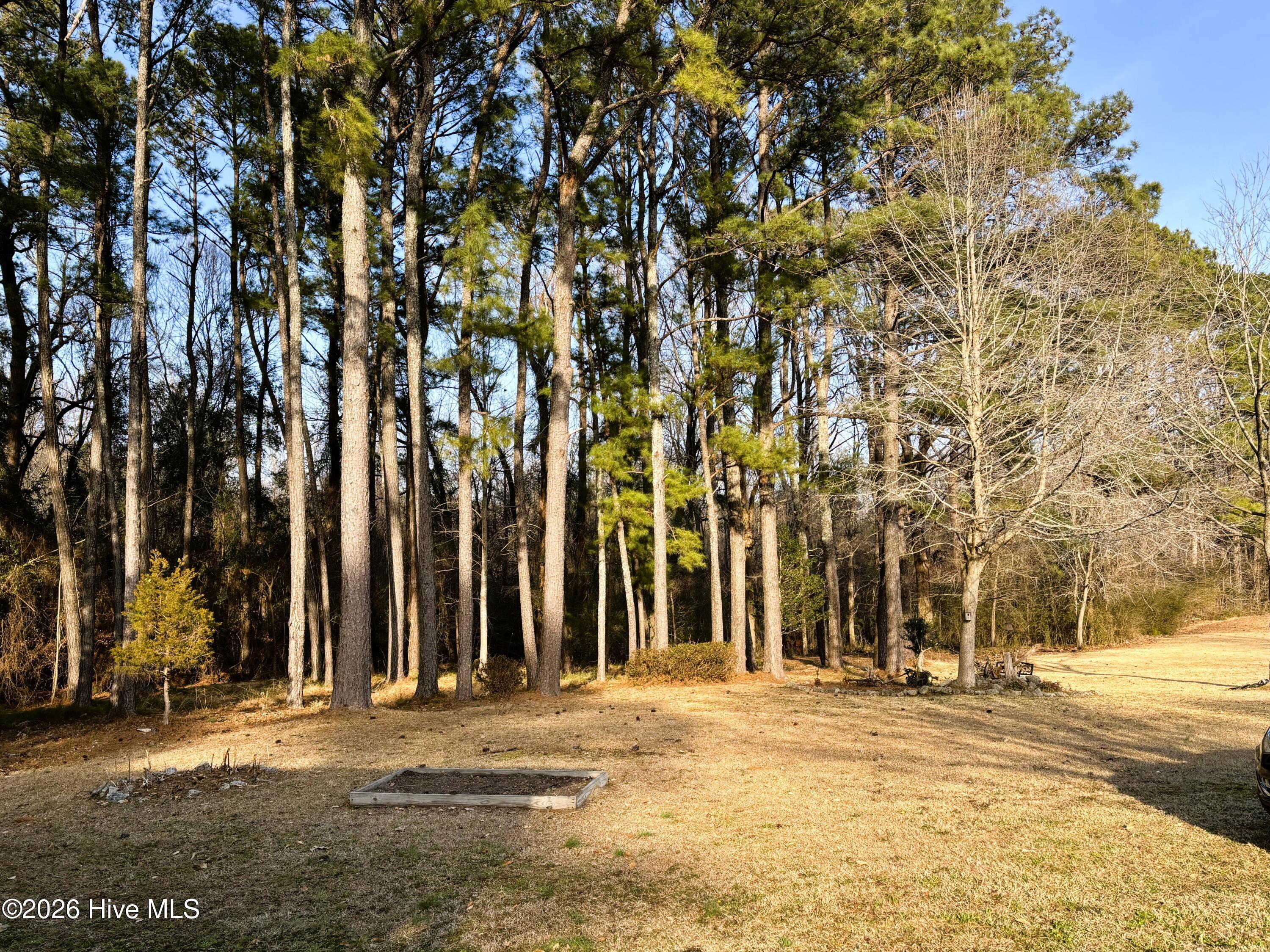 100554196 | Photo 21