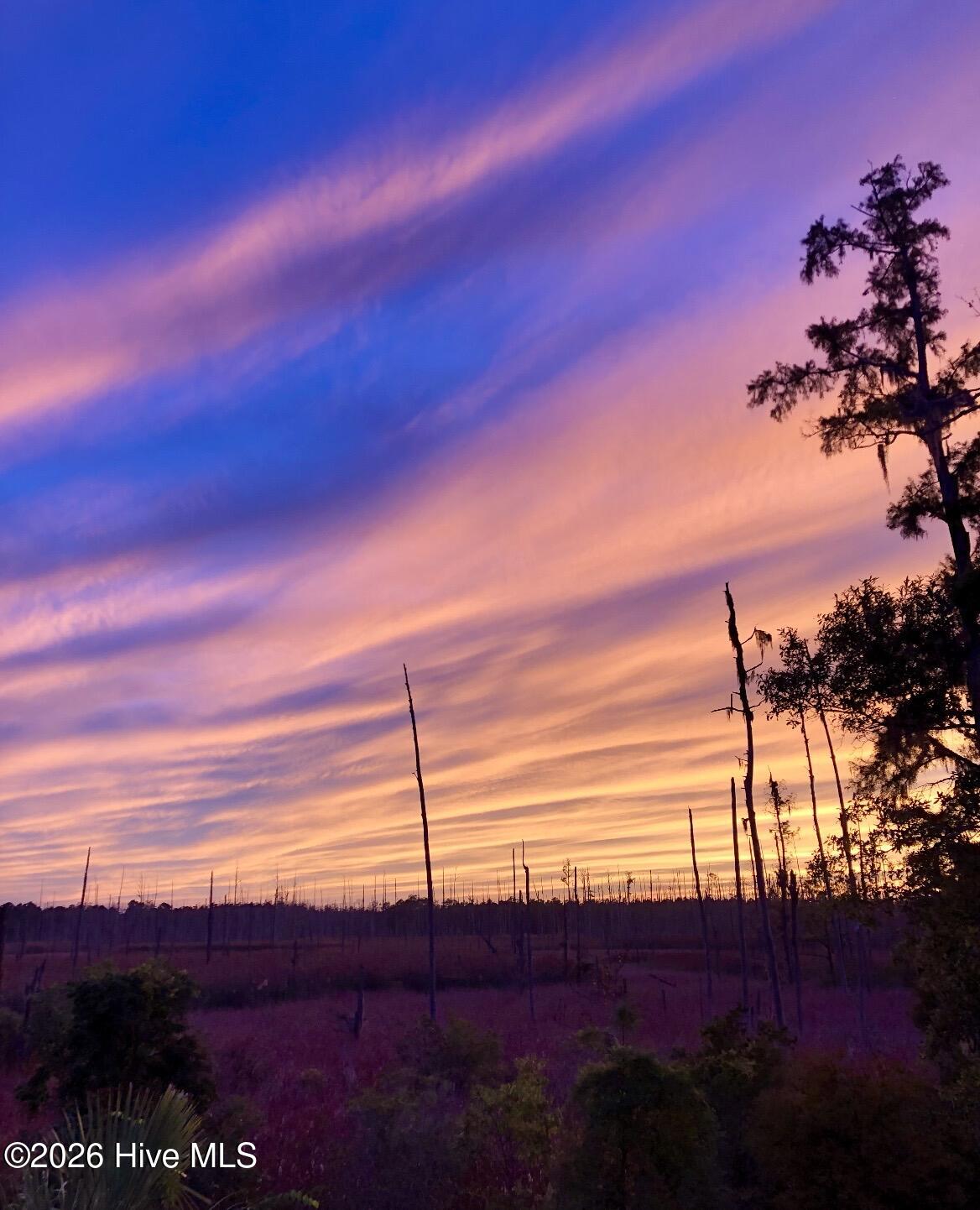 100560922 | Photo 50