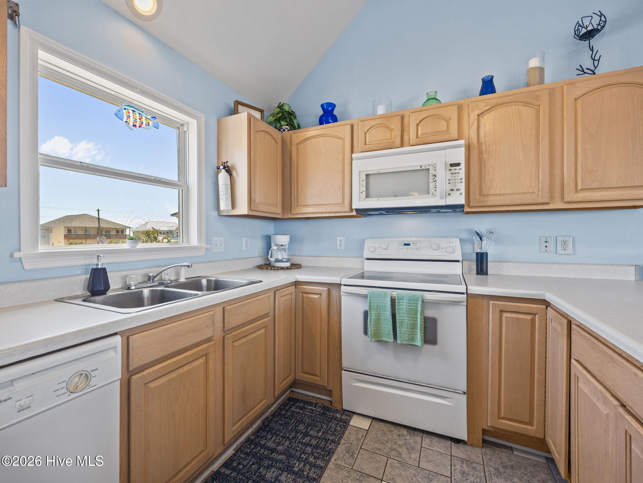 100564989 | Photo 11