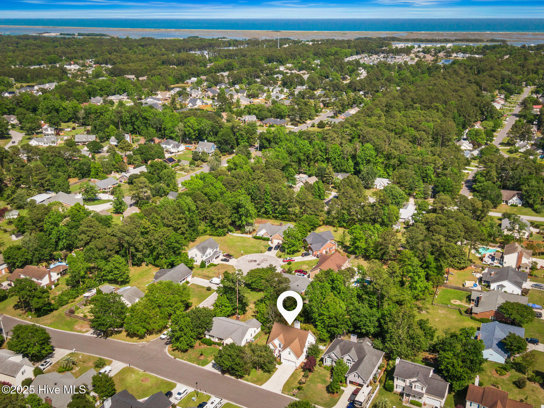 100505996 | Photo 40