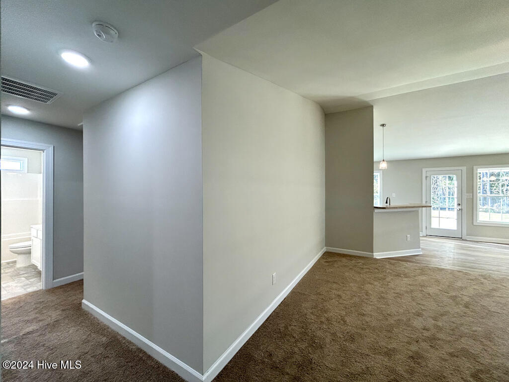 100563397 | Photo 14