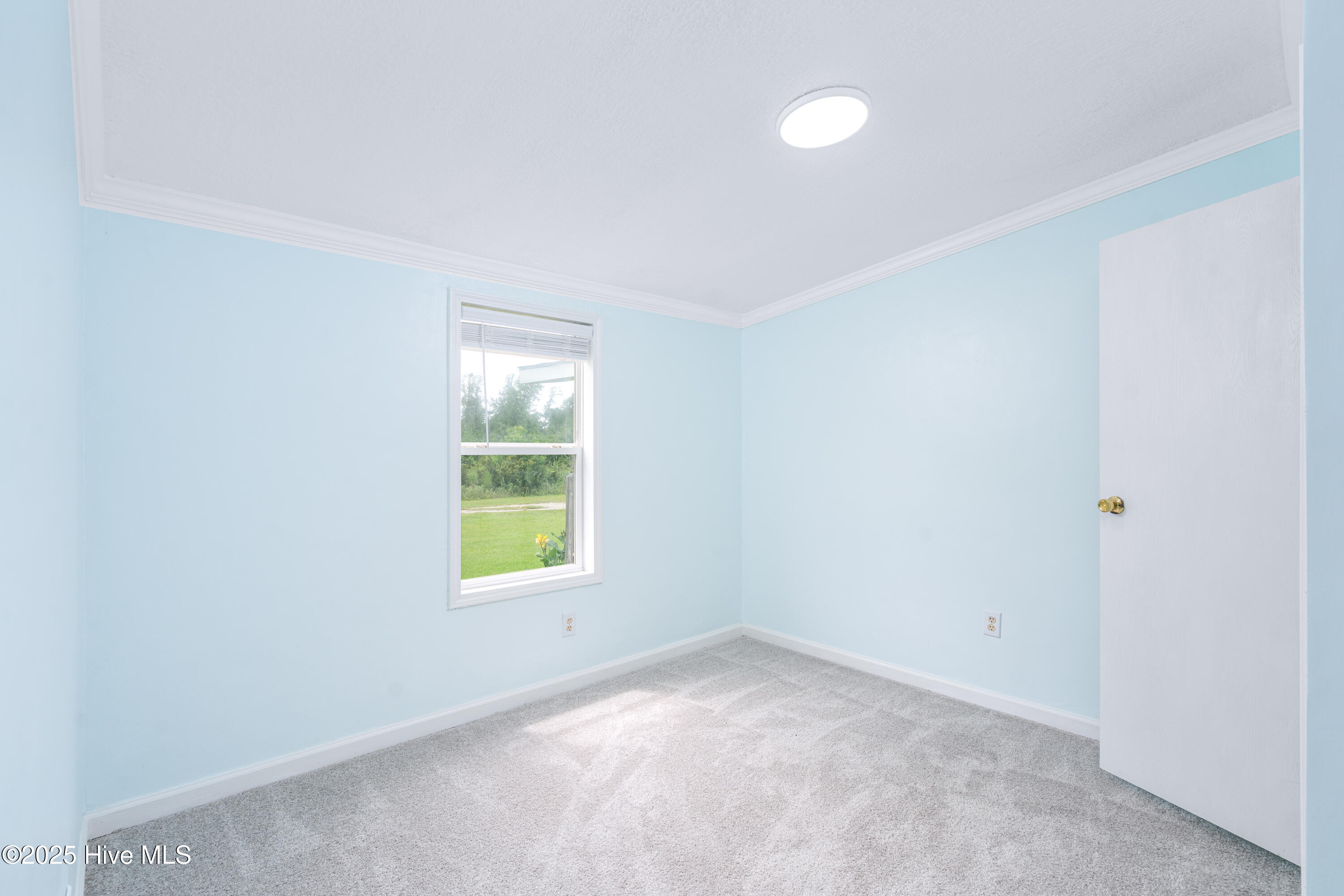 100527540 | Photo 20