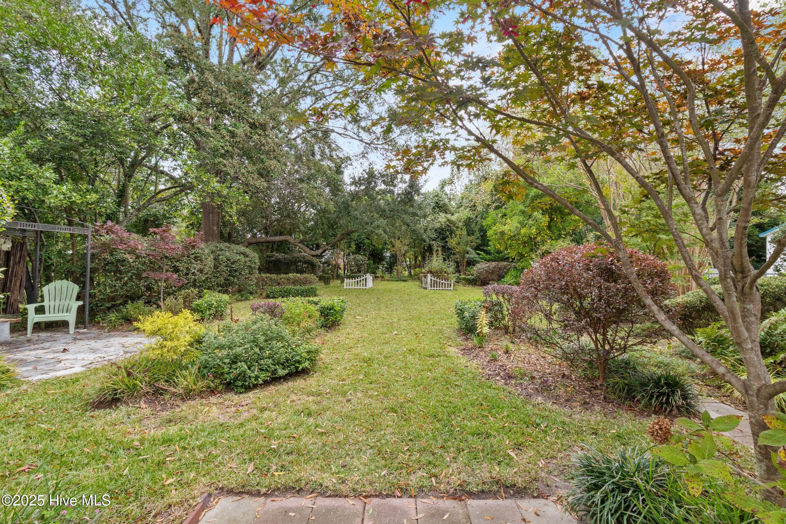 100538519 | Photo 21