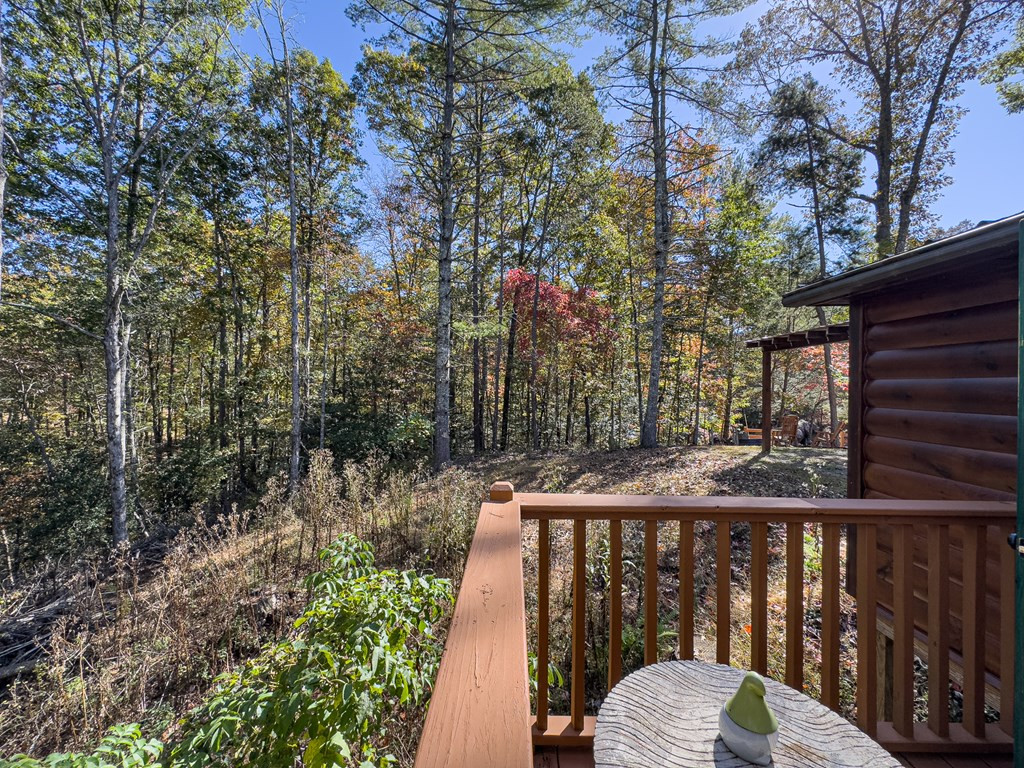 614 Rockridge Road, Murphy, NC 28906 Listing Photo  53