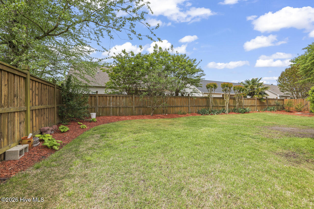 100554989 | Photo 42