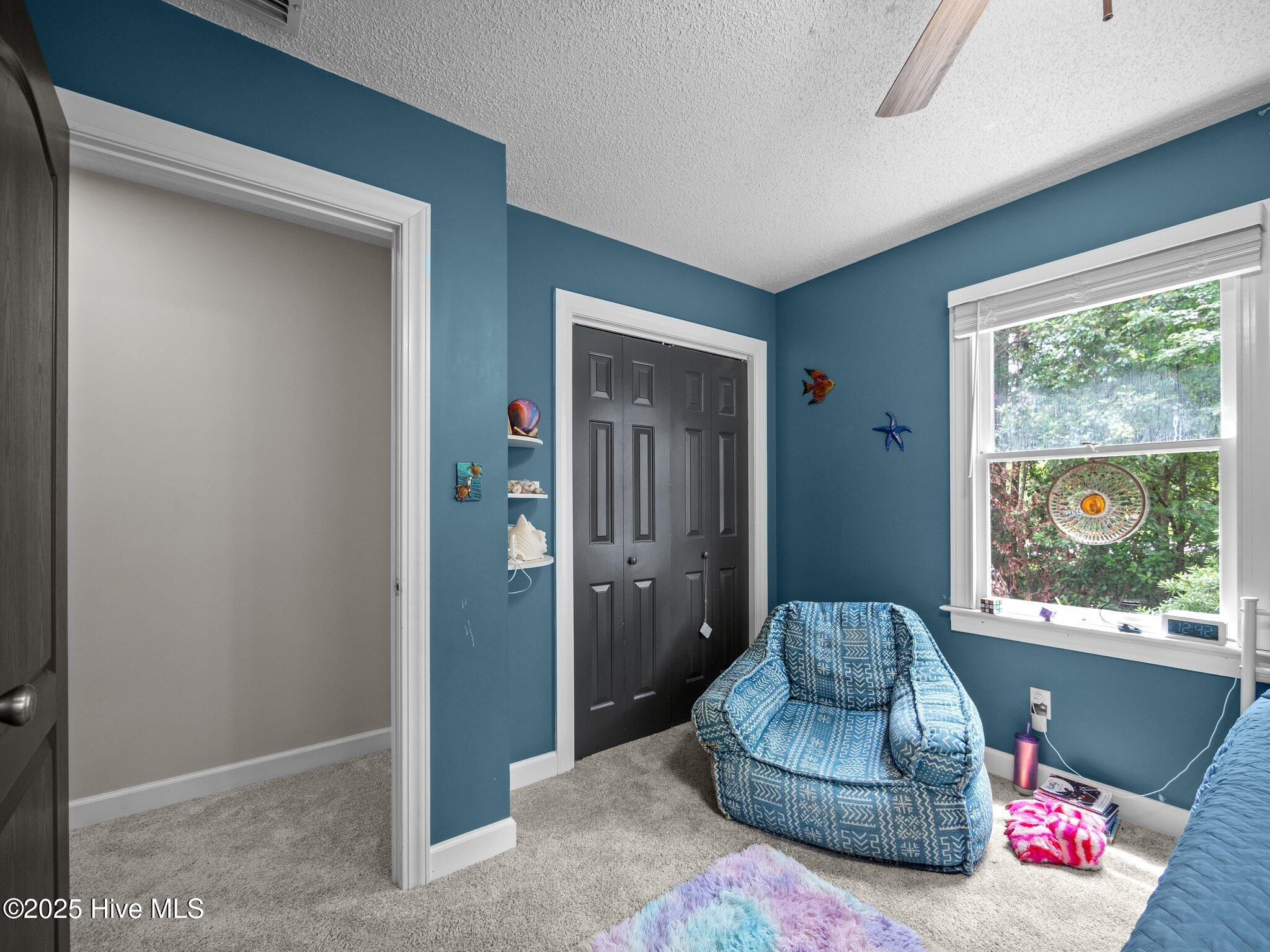 100569850 | Photo 43