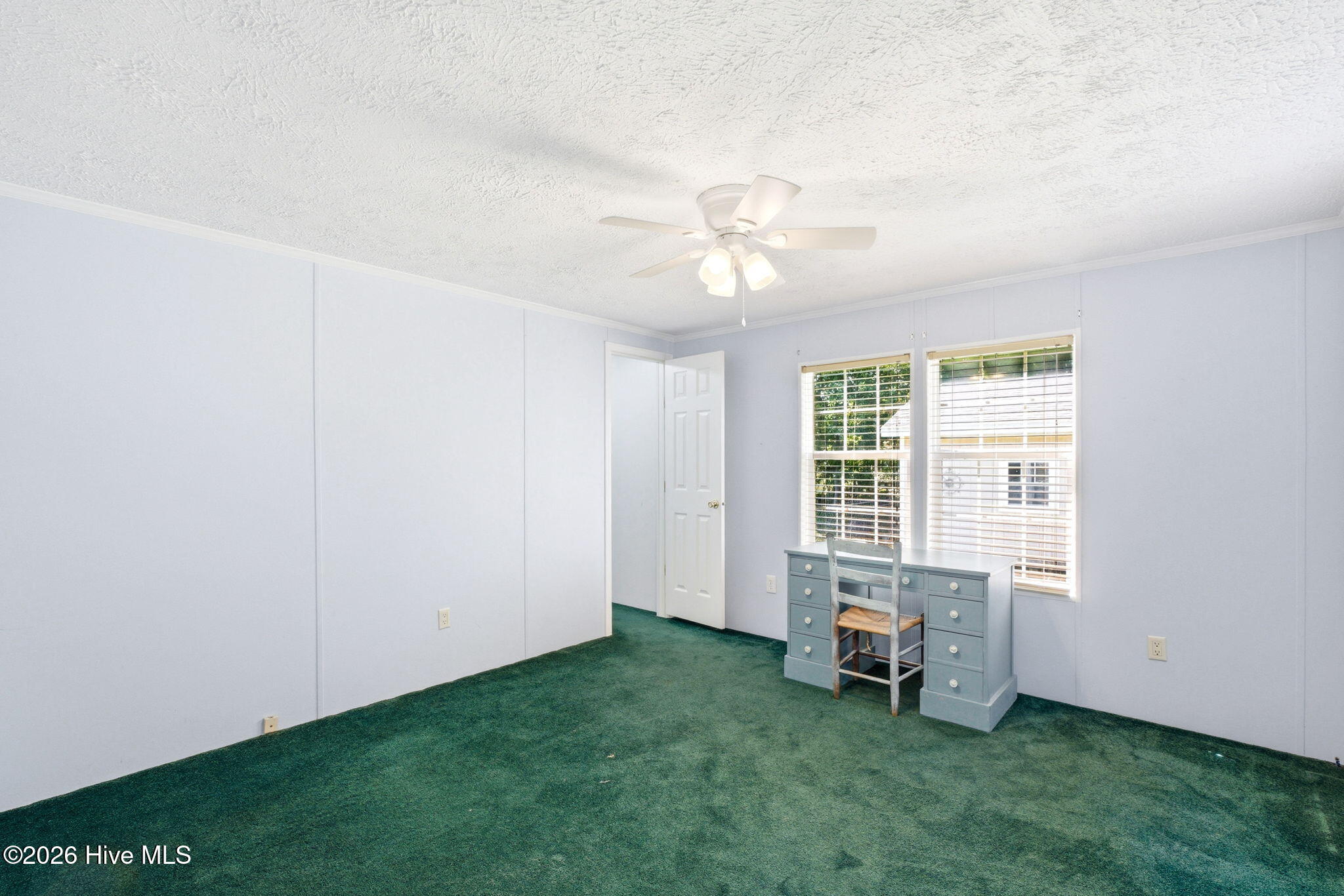 100568157 | Photo 33