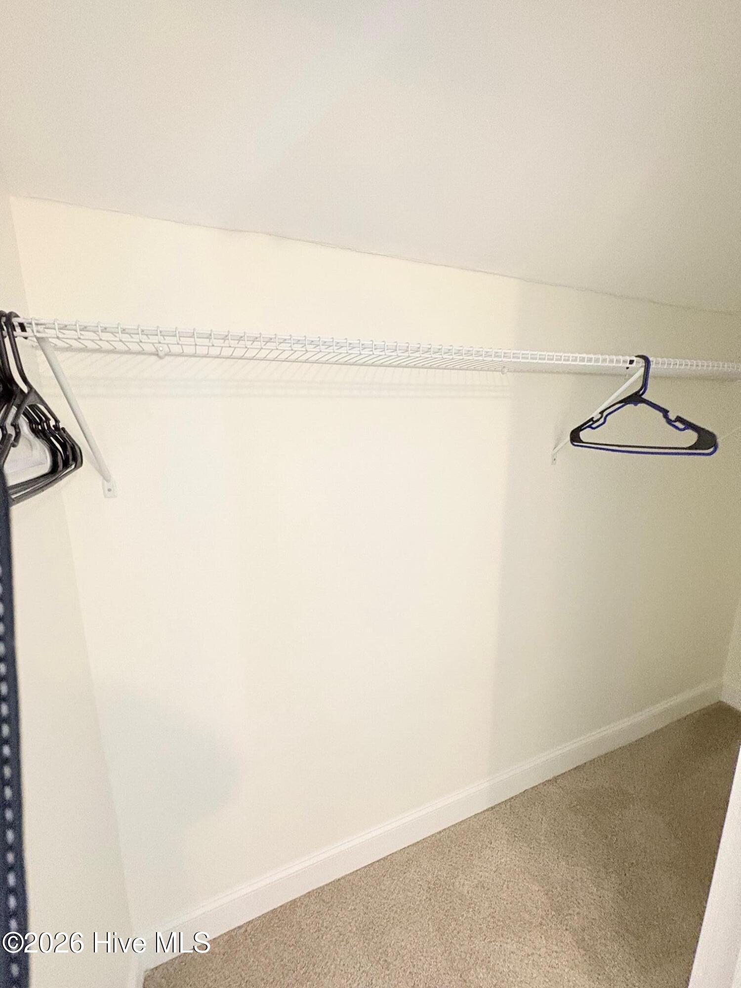 100559102 | Photo 49