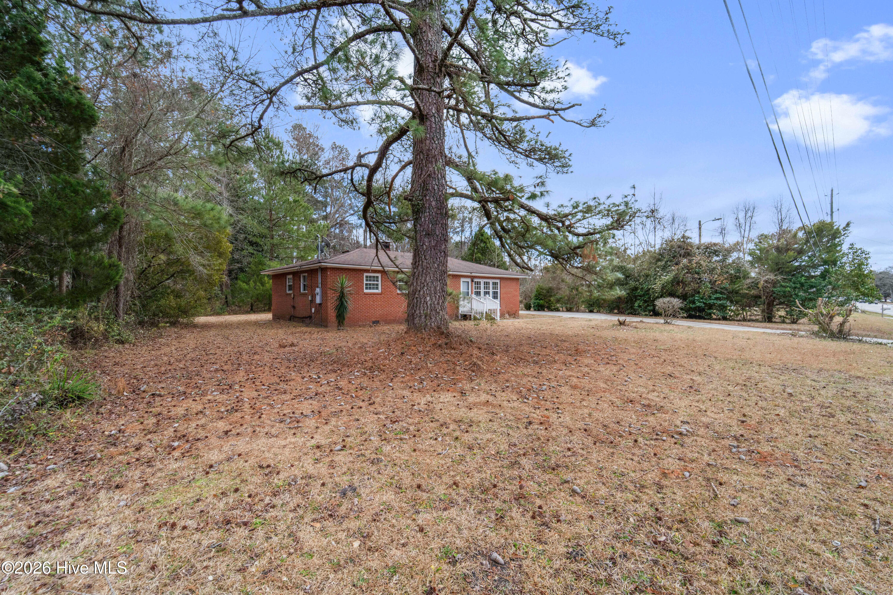 100557245 | Photo 38