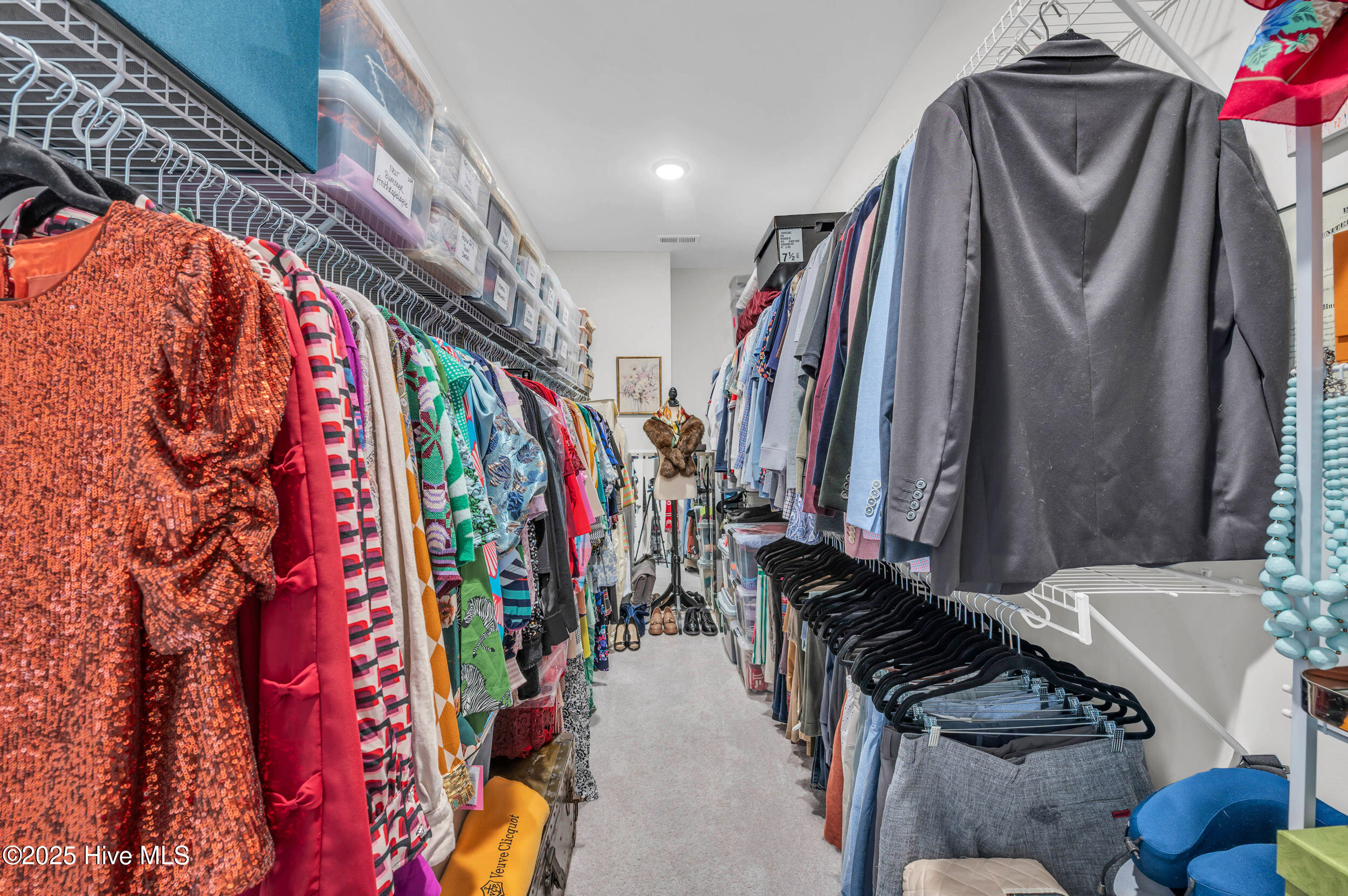 100520881 | Photo 17