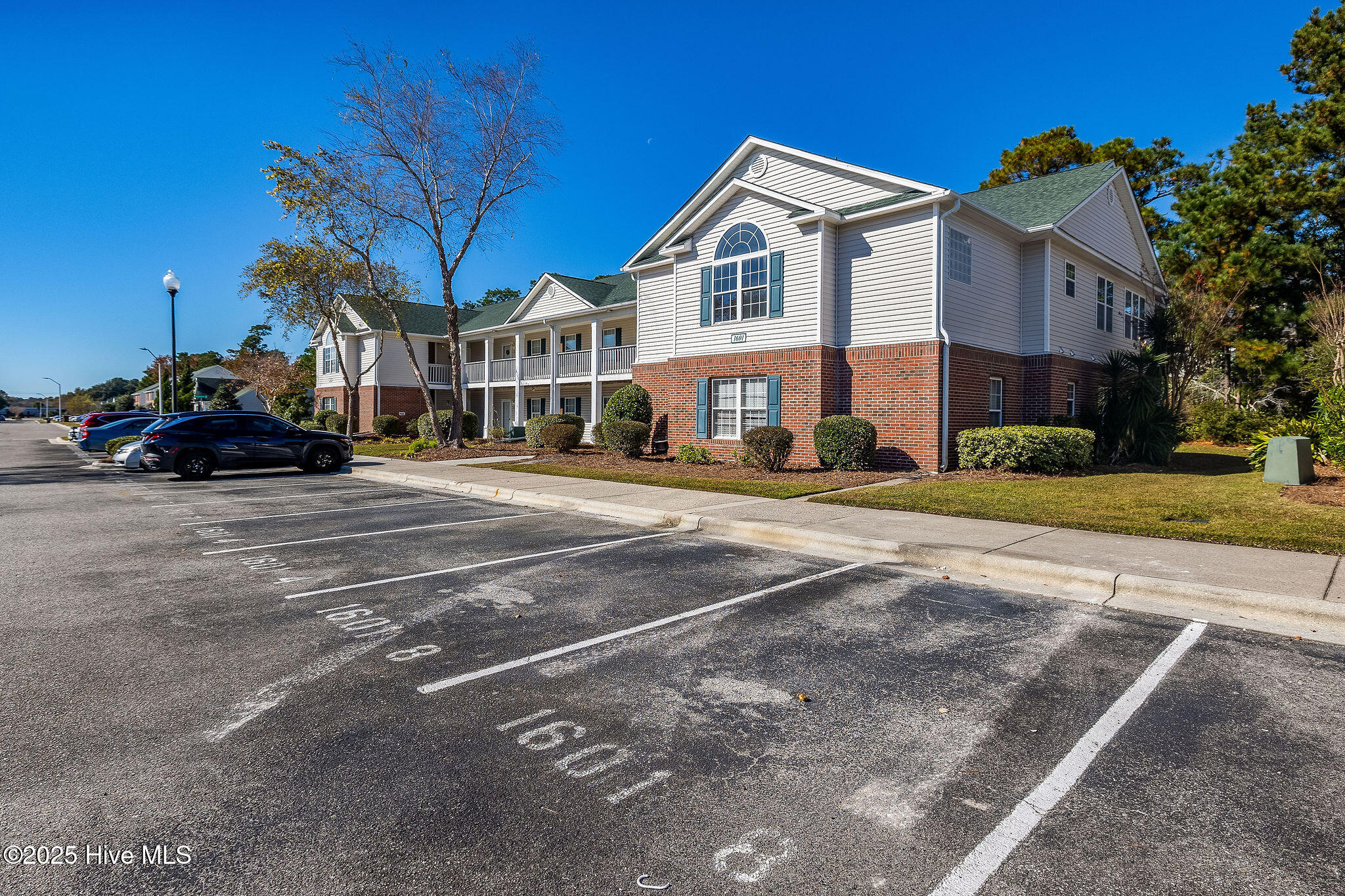 100541410 | Photo 19