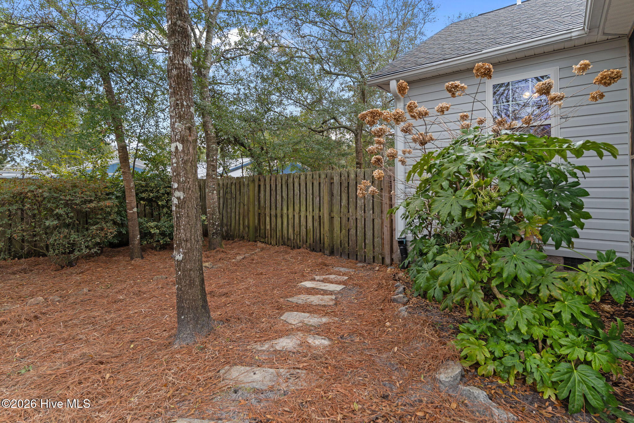 100555796 | Photo 47