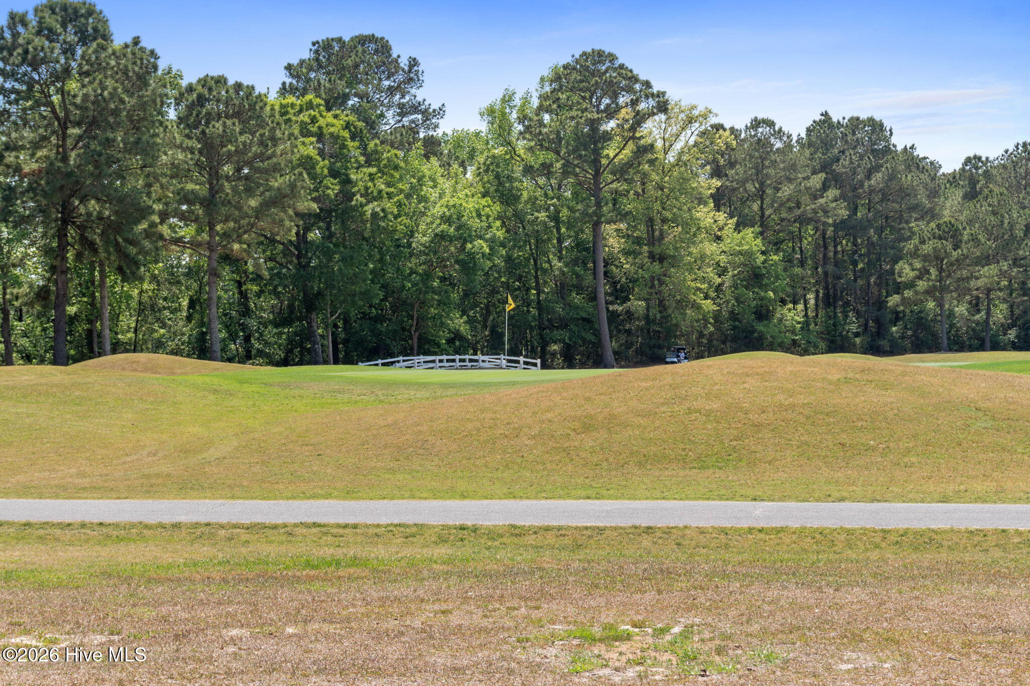 100567537 | Photo 89