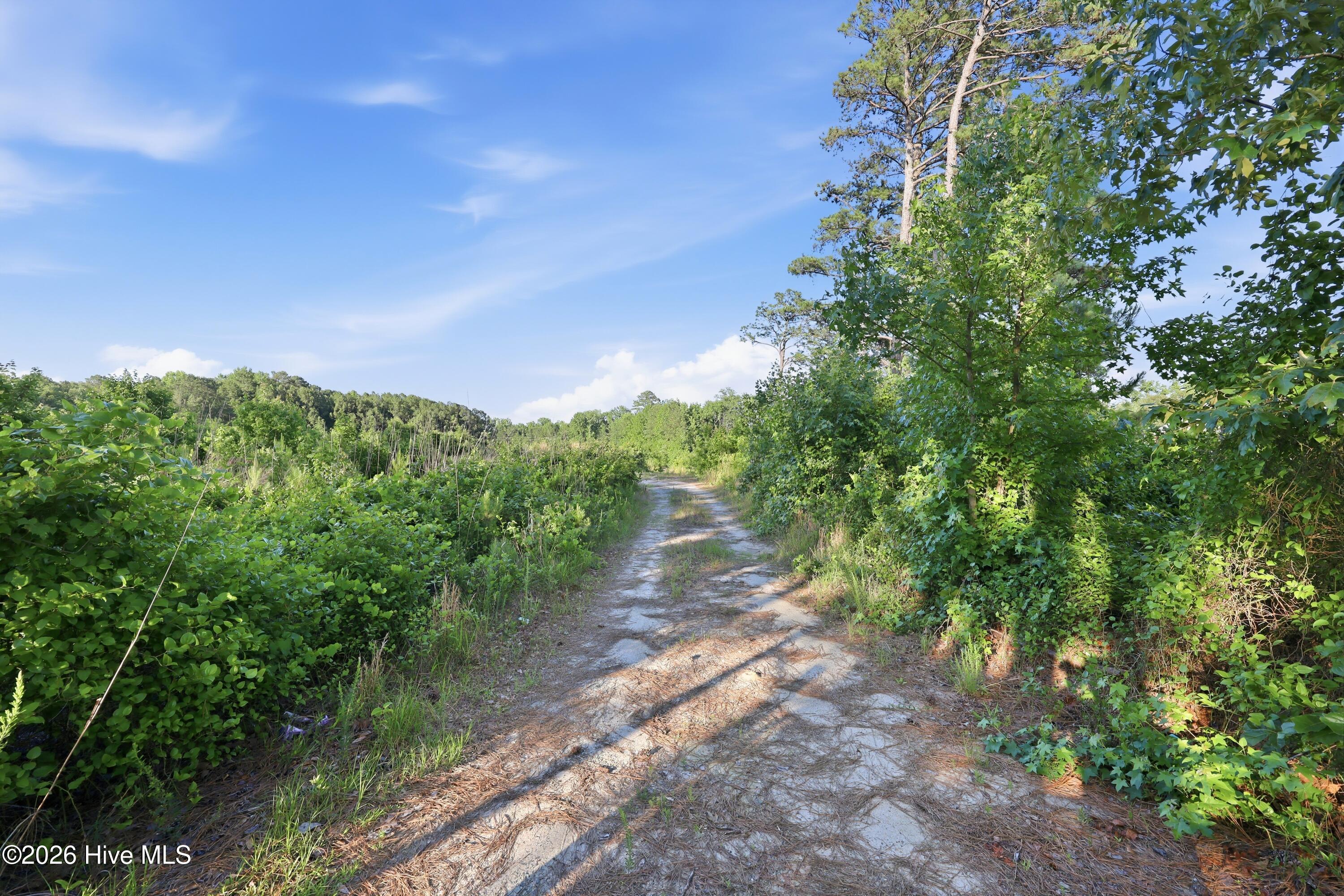 Exterior photo of 2025 Vass Carthage Road, Carthage, NC 28327. MLS: 100574628